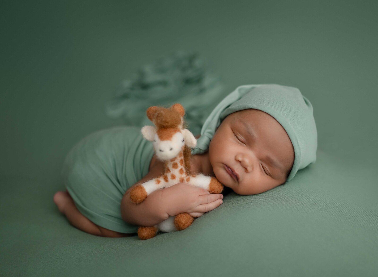 Baby boy sleeping on tummy and holding felted giraffe. Photo taken at Atlanta baby studio.