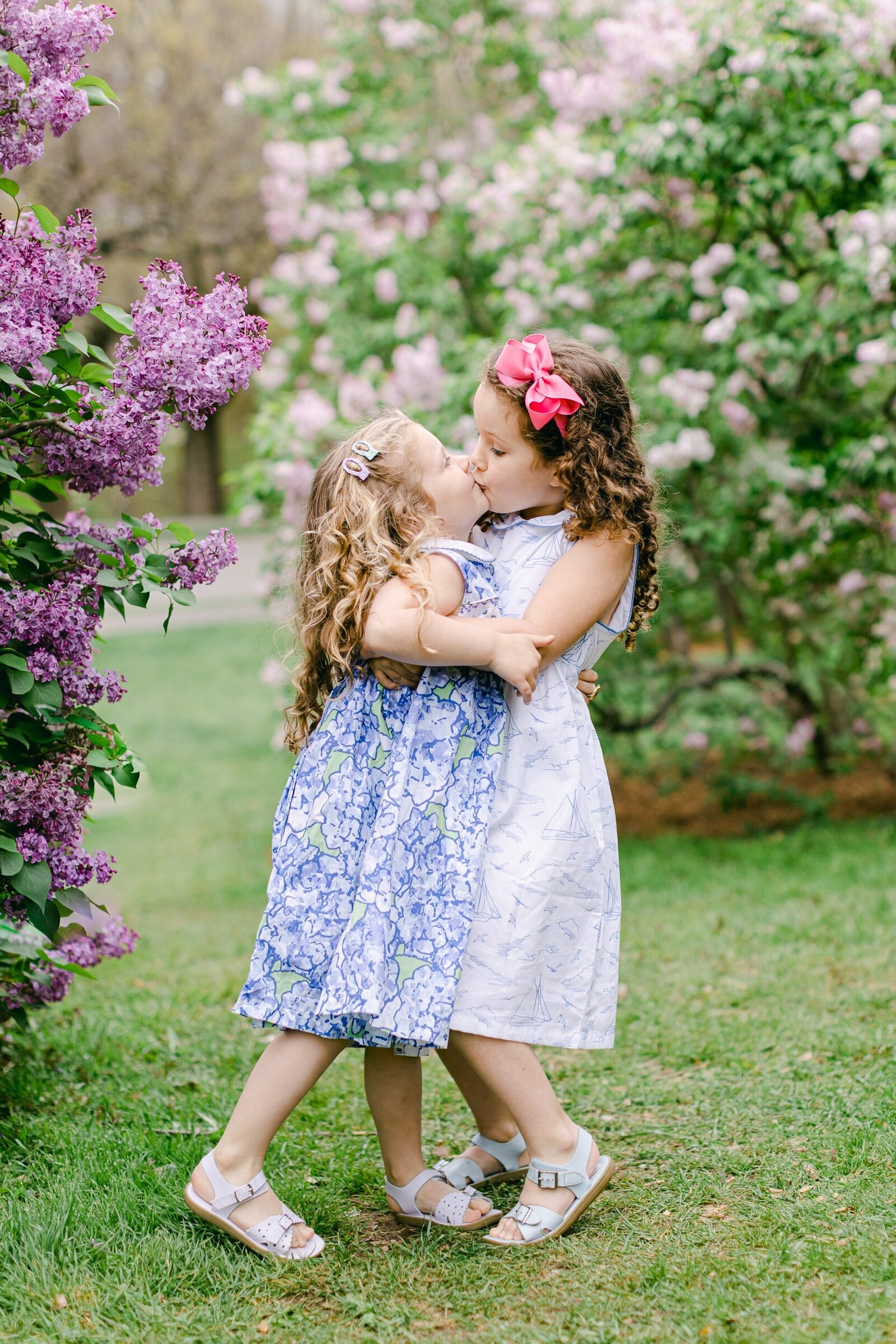 sisters kissing at Arnold Arboretum among lilacs