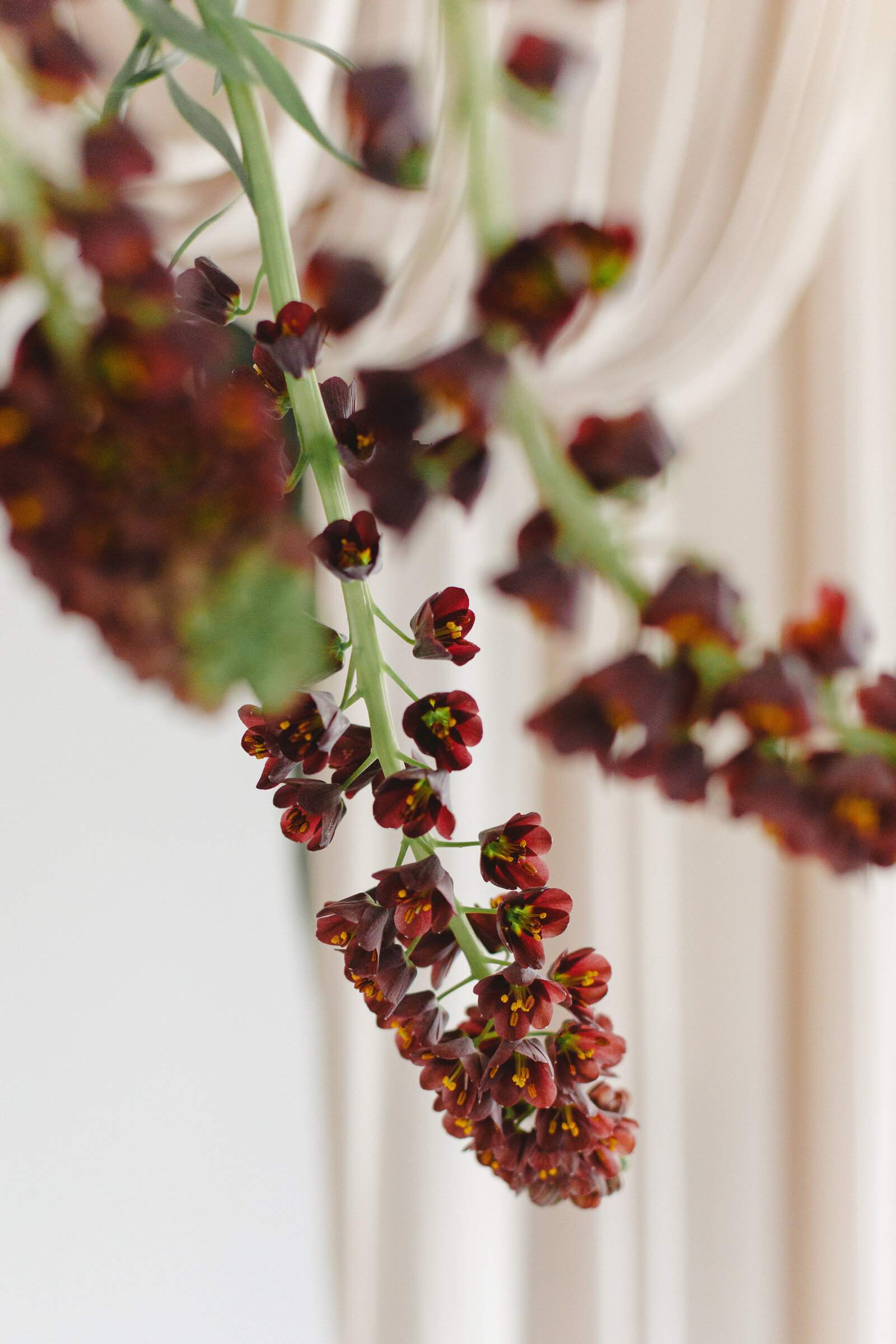 Formation novices_reconversion fleuriste_capucineatelierfloral_classesflorales_11