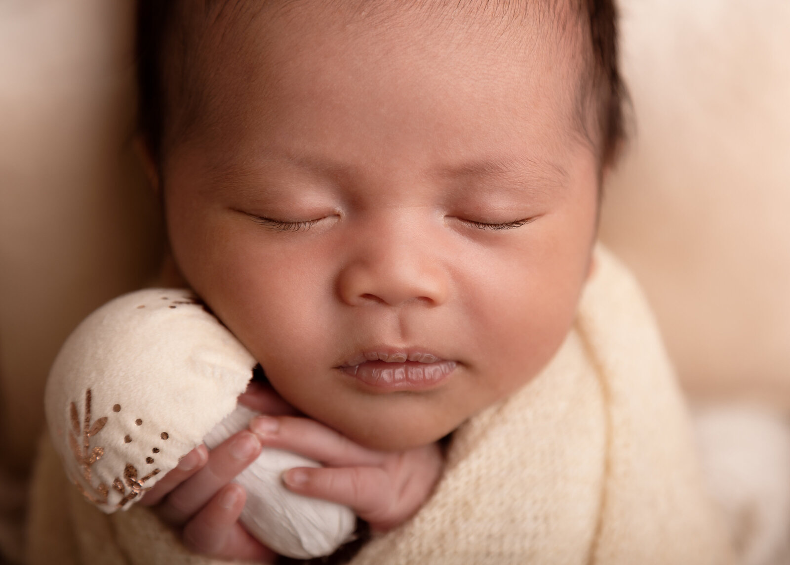 delatorrephotos-15