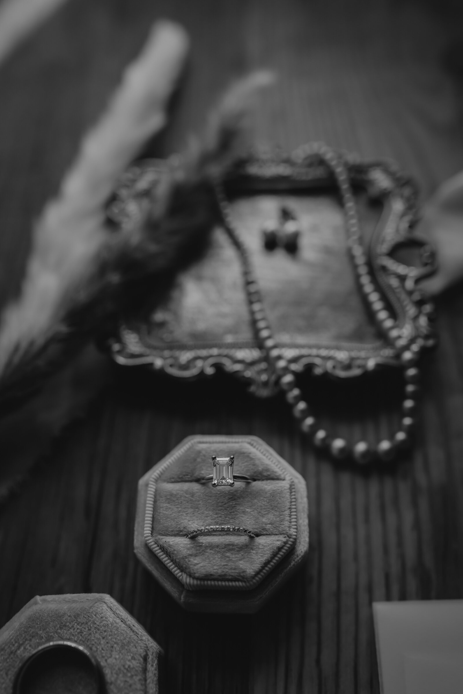 2D3A6633