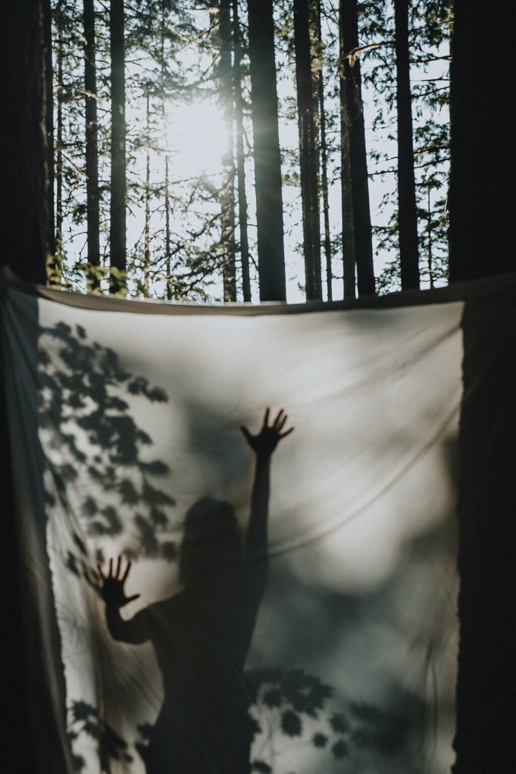 ANA_L-365_qL8