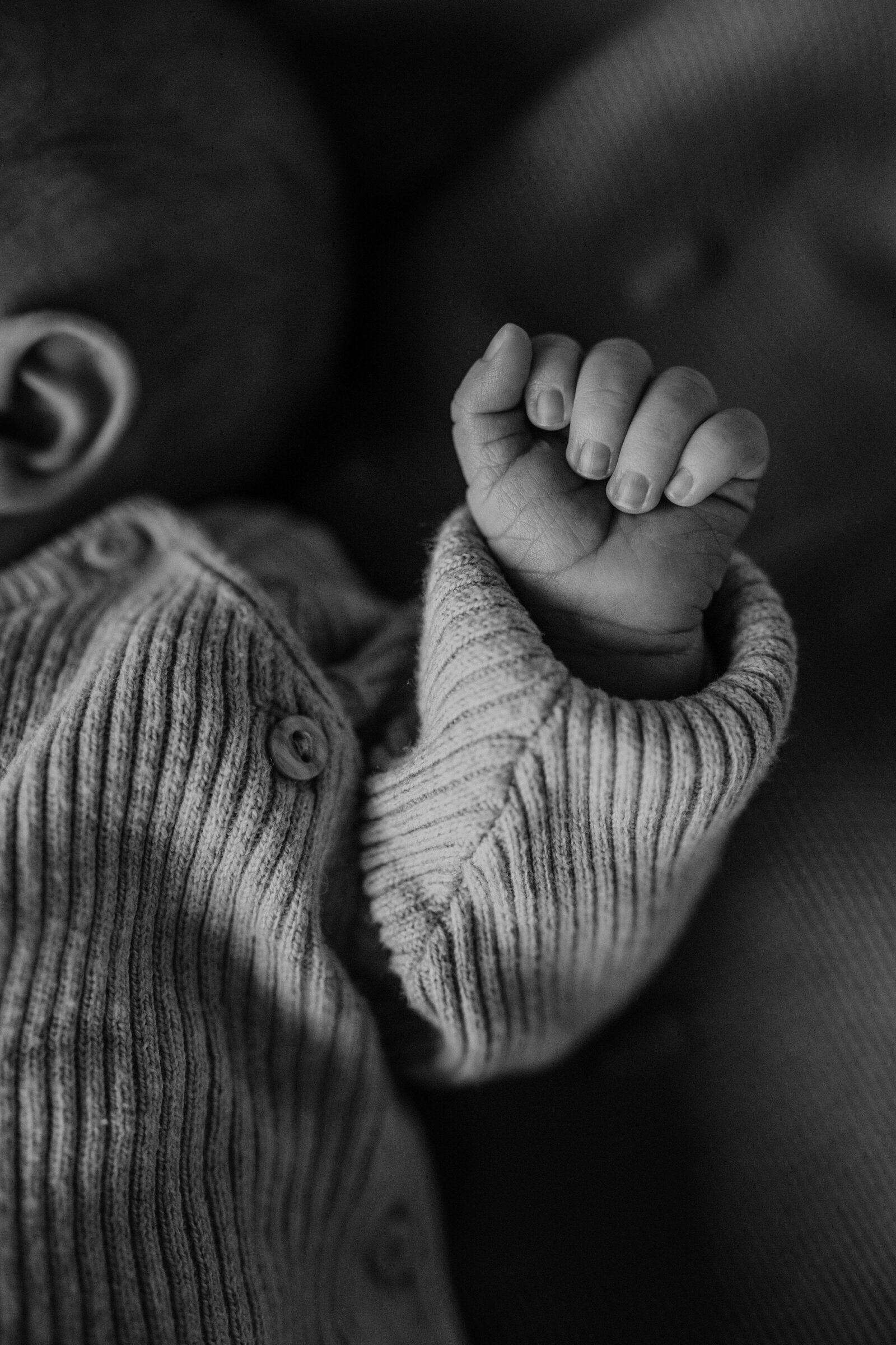 SusanneMoerlandFotografie-1