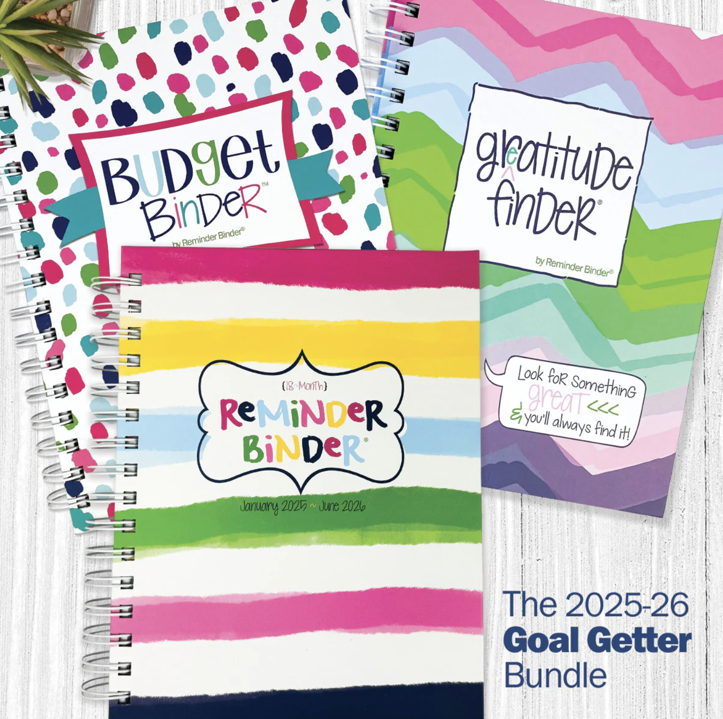 Screenshot 2025-01-02 at 9.41.35 AM