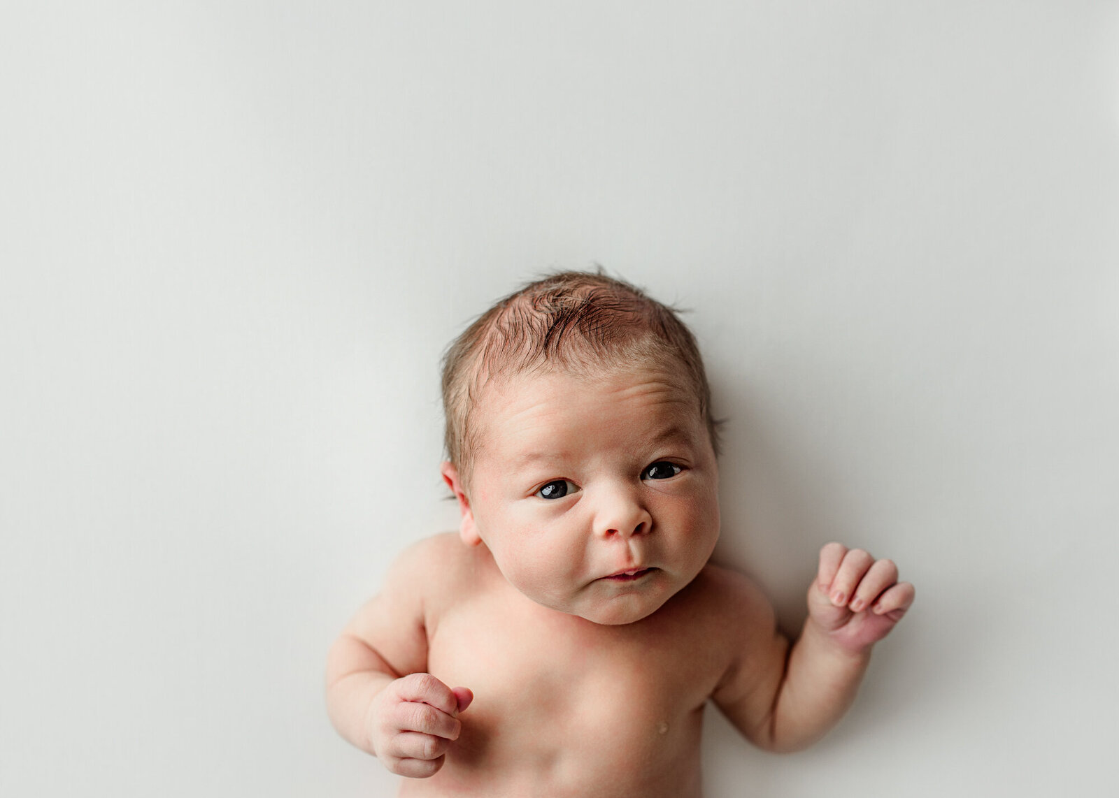 best newborn photographer clarksville tn