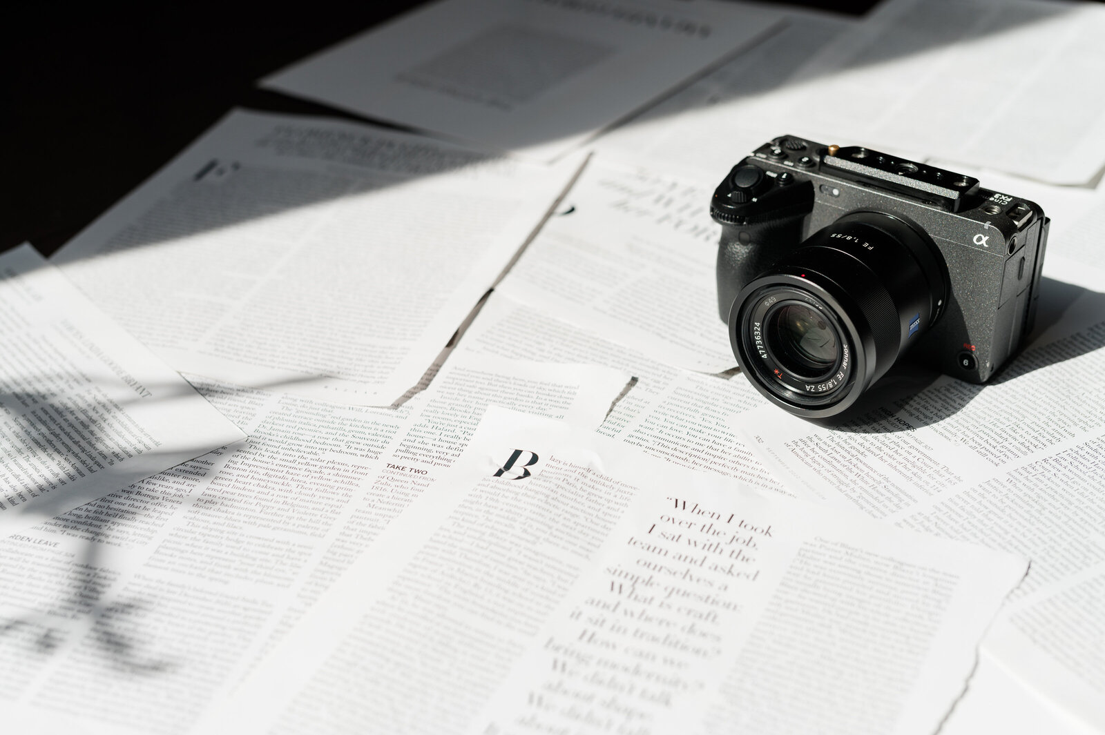 ModernMemoirBrand-RLP-23