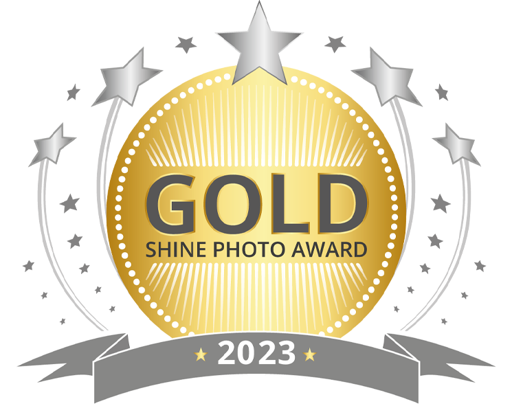 2023_SHINE-Award-GOLD