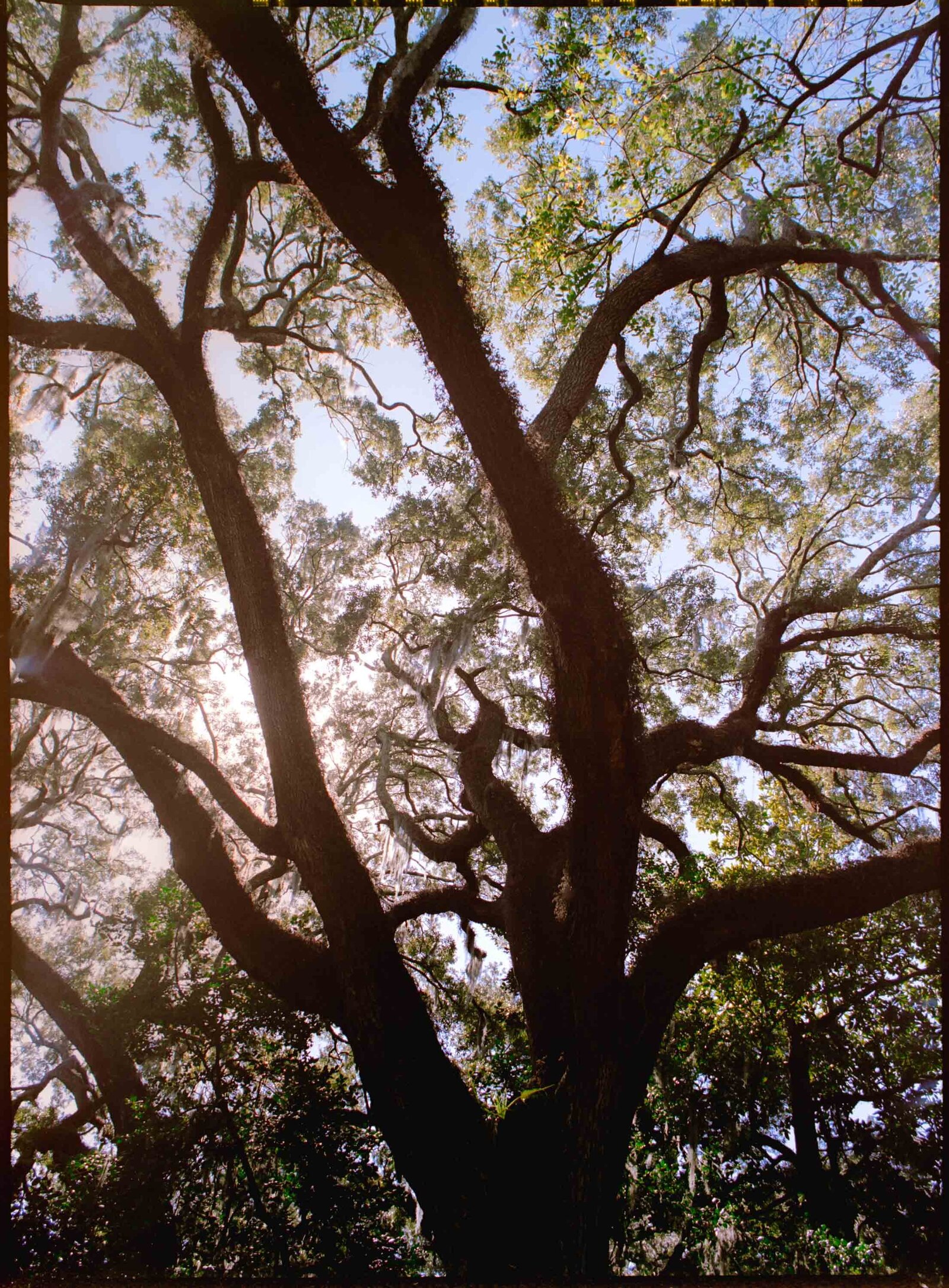 coastal-colorful-wedding-film-photos-jess-buckley-2