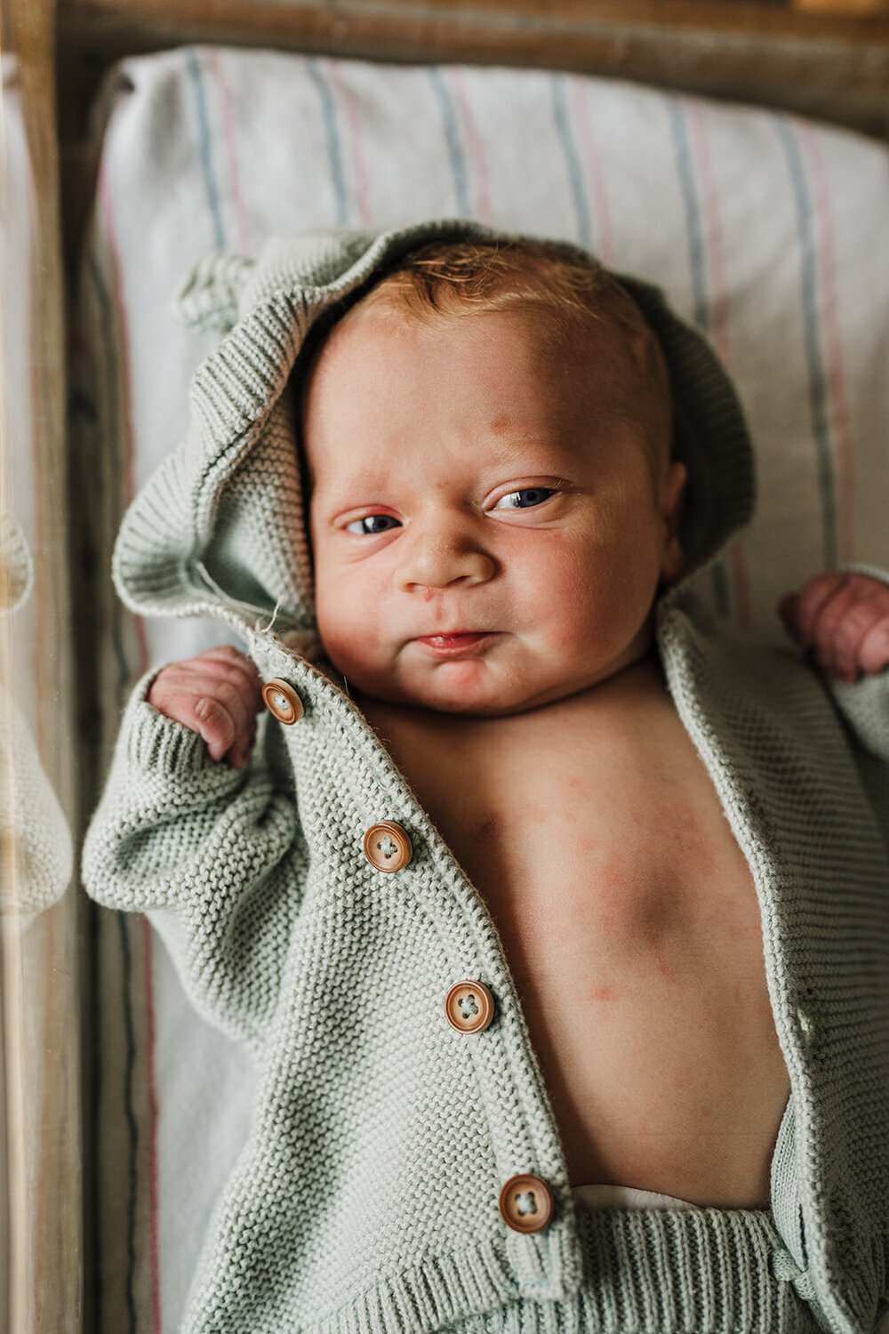 baby stares at camera from hospital bassinet during fresh 48 photos