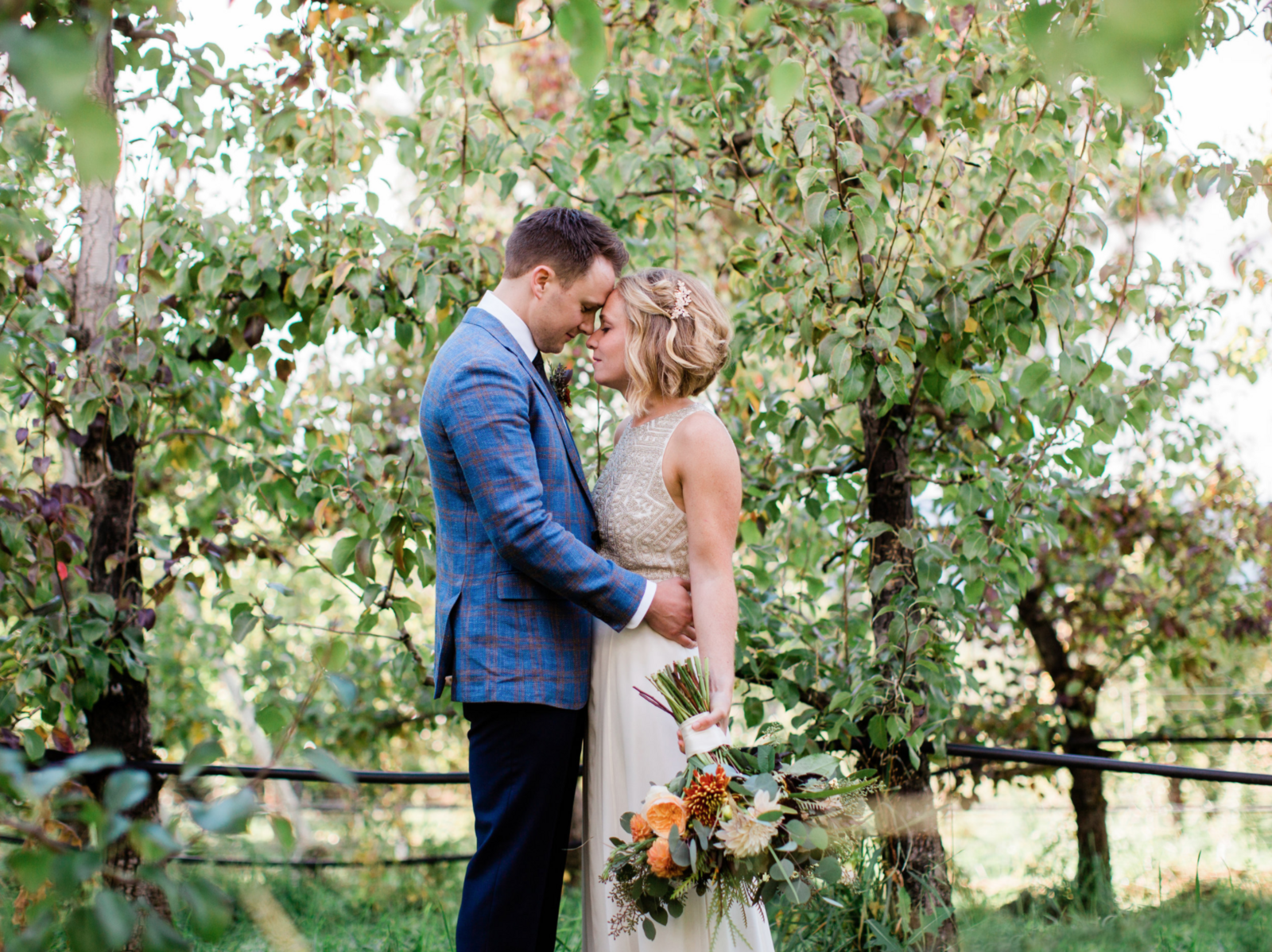 Screen Shot 2020-12-20 at 12.01.13 PM