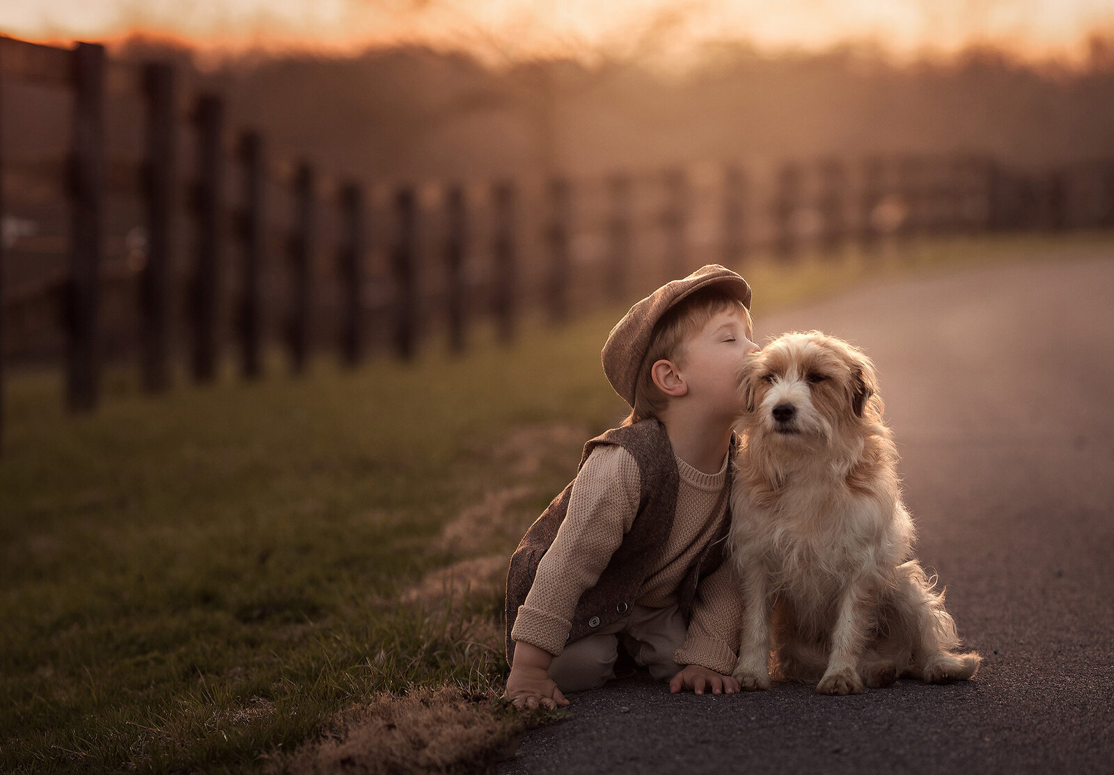 Adorable photos of a boy and his dog playing outside at Norfolk at sunset.