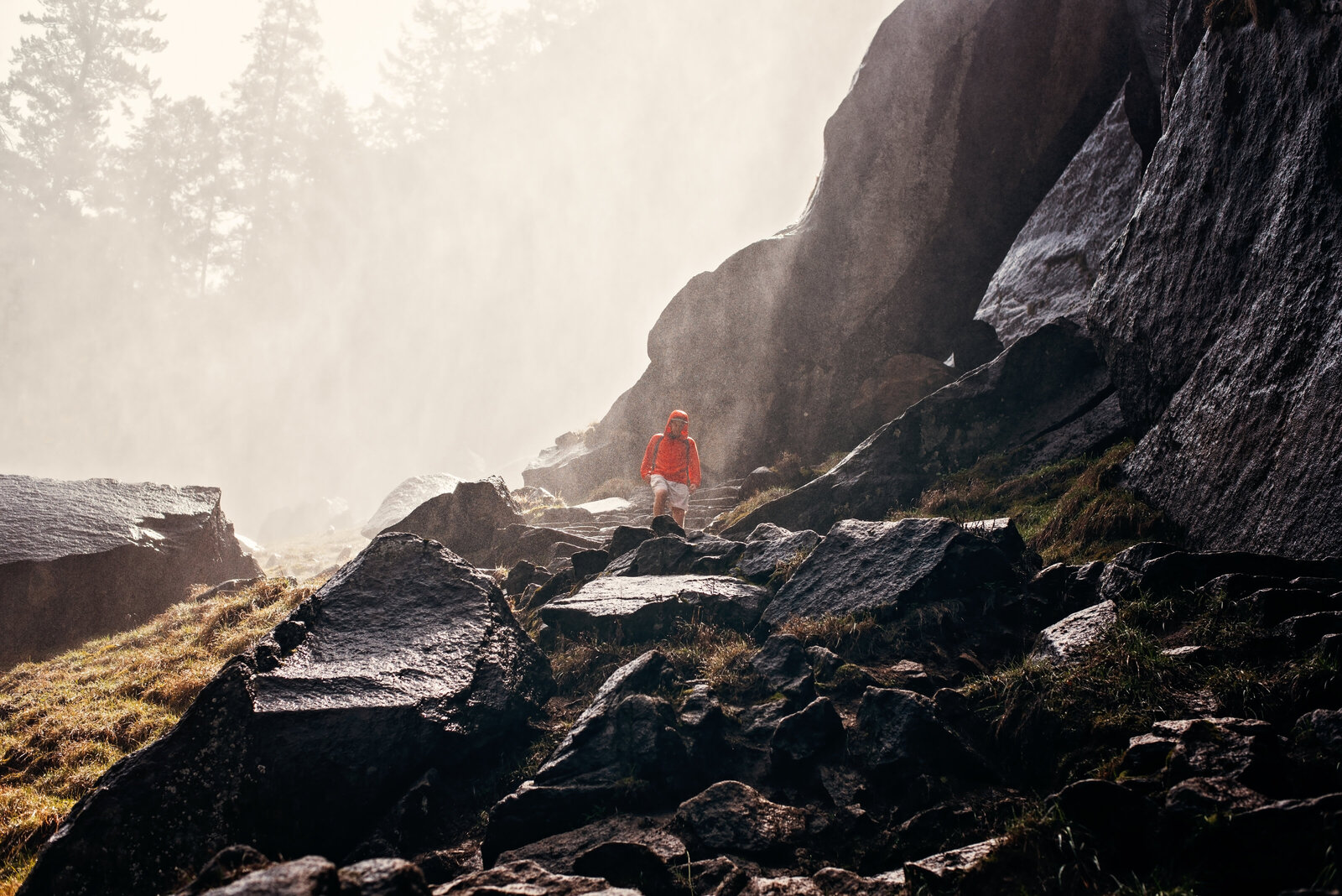 Yosemite-