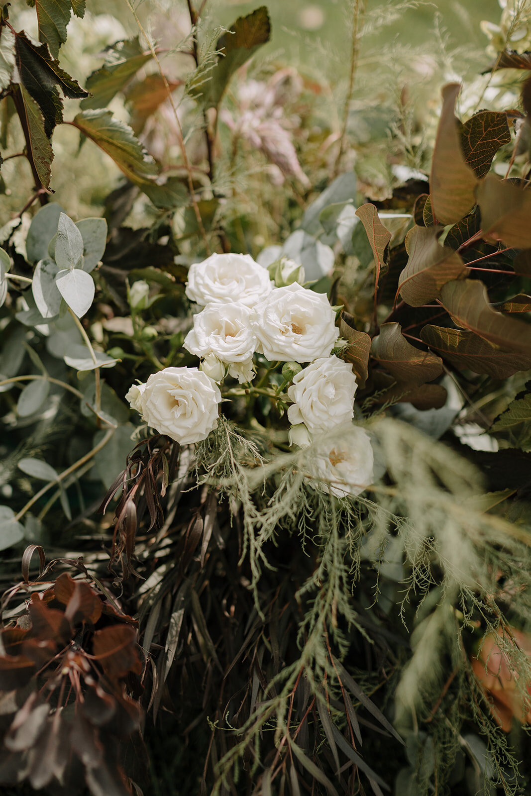 BrianaNolan_Wedding_LS_1-1227