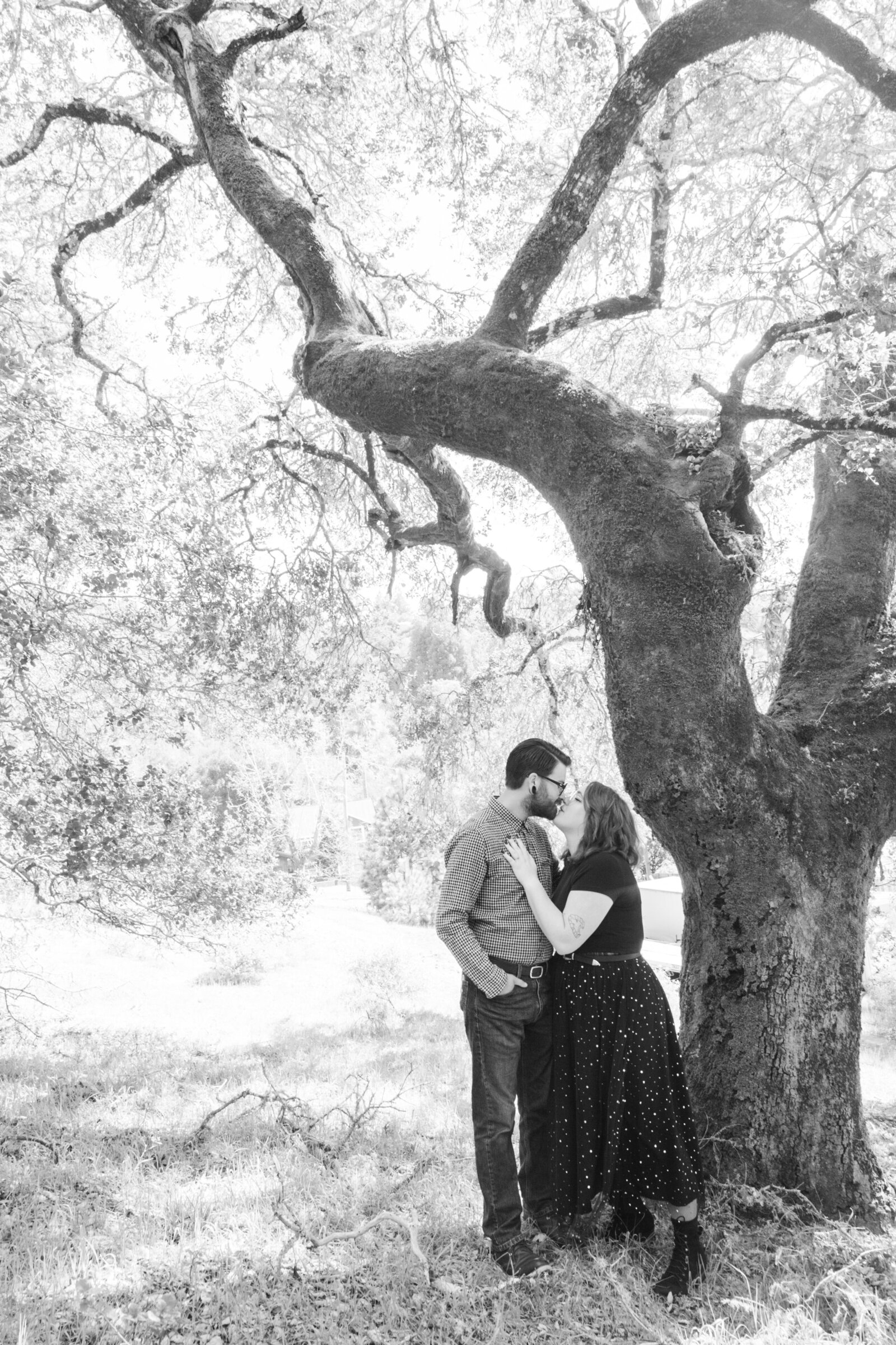 An tattooed engaged couple poses for photos in a redwood forest in Santa Cruz, Ca.