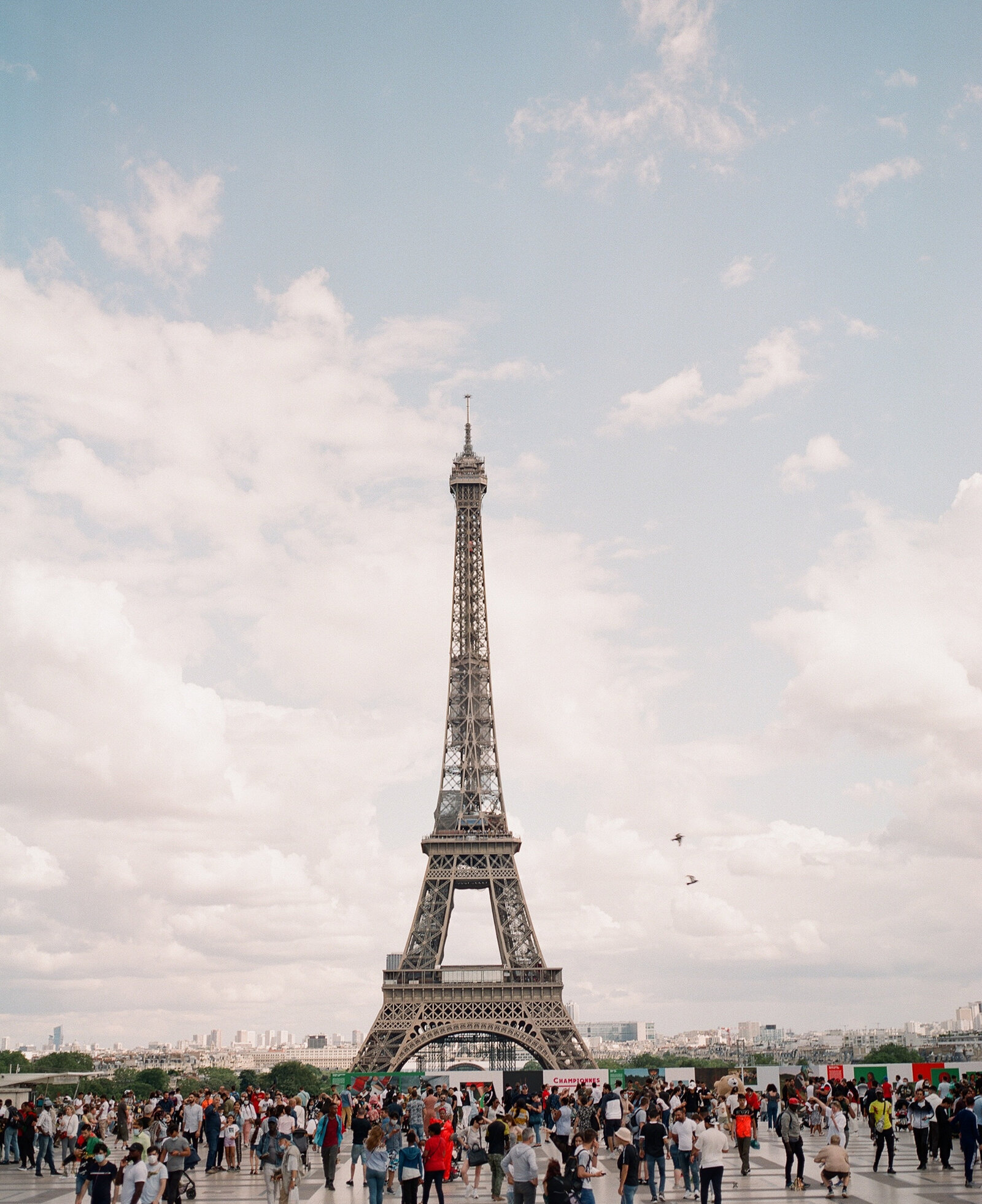 France_Paris_Eiffel Tower_456033_0006©HilaryBlock