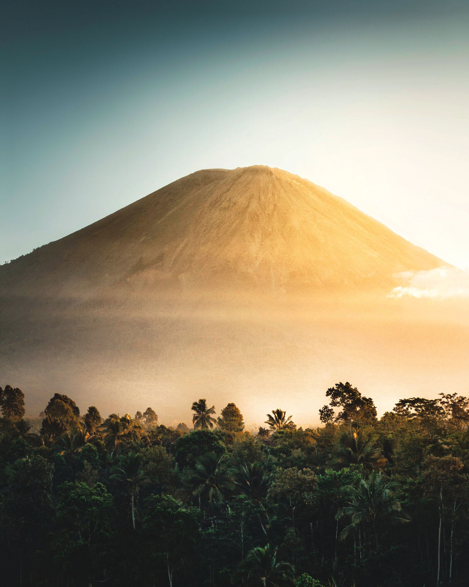 dwinanda-nurhanif-mujito-pKT5Mg16w_w-unsplash