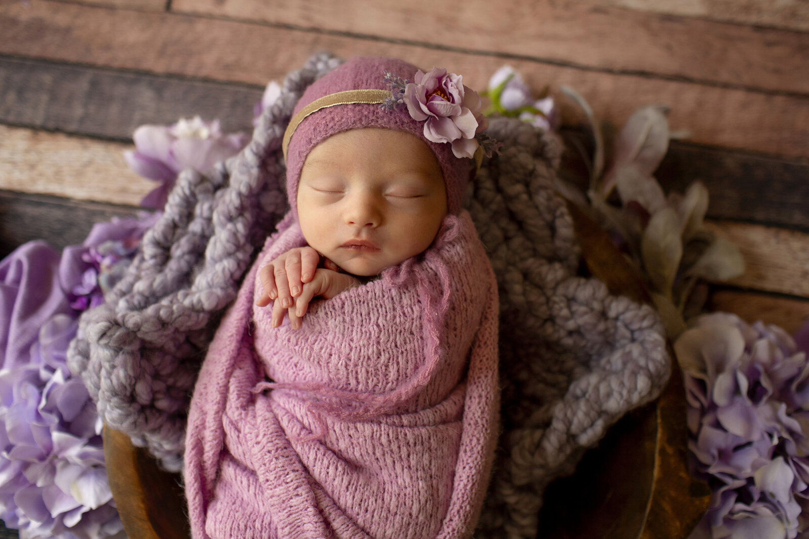ABQ-newborn-baby-girl-session-purple-flowers