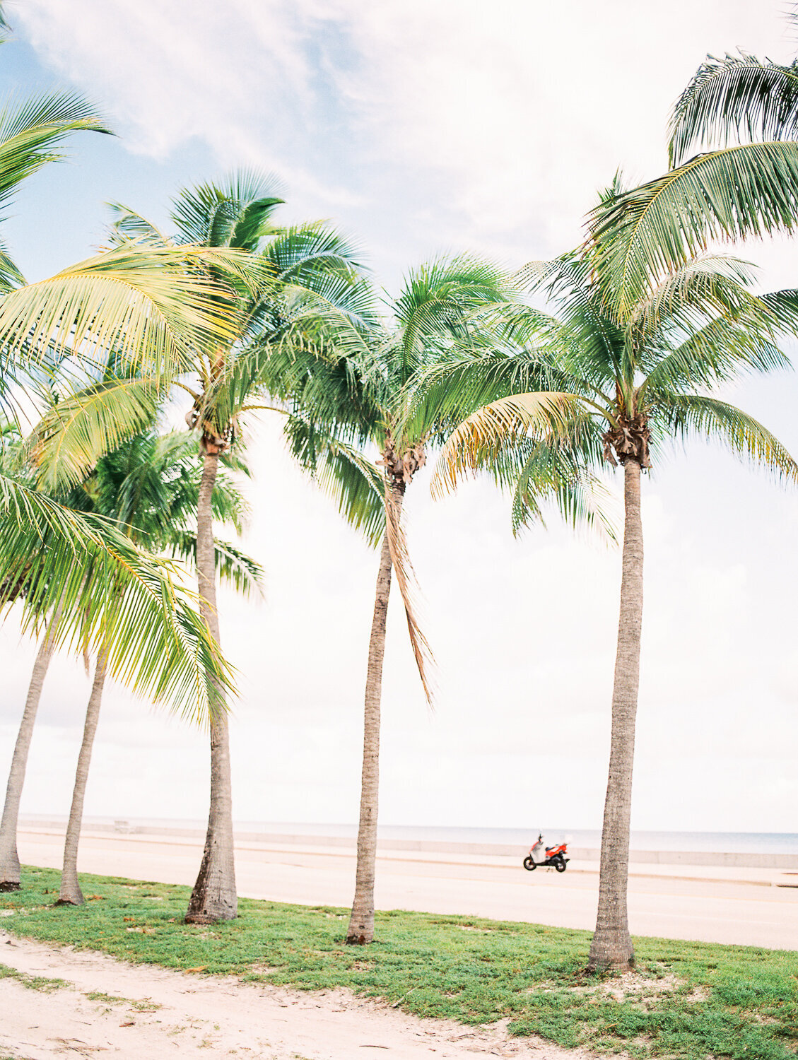KEY WEST | PRINT SHOP | LB Photography | KEY WEST 2020 | September | 2020 | Sequence # (1)September 11, 2020-3