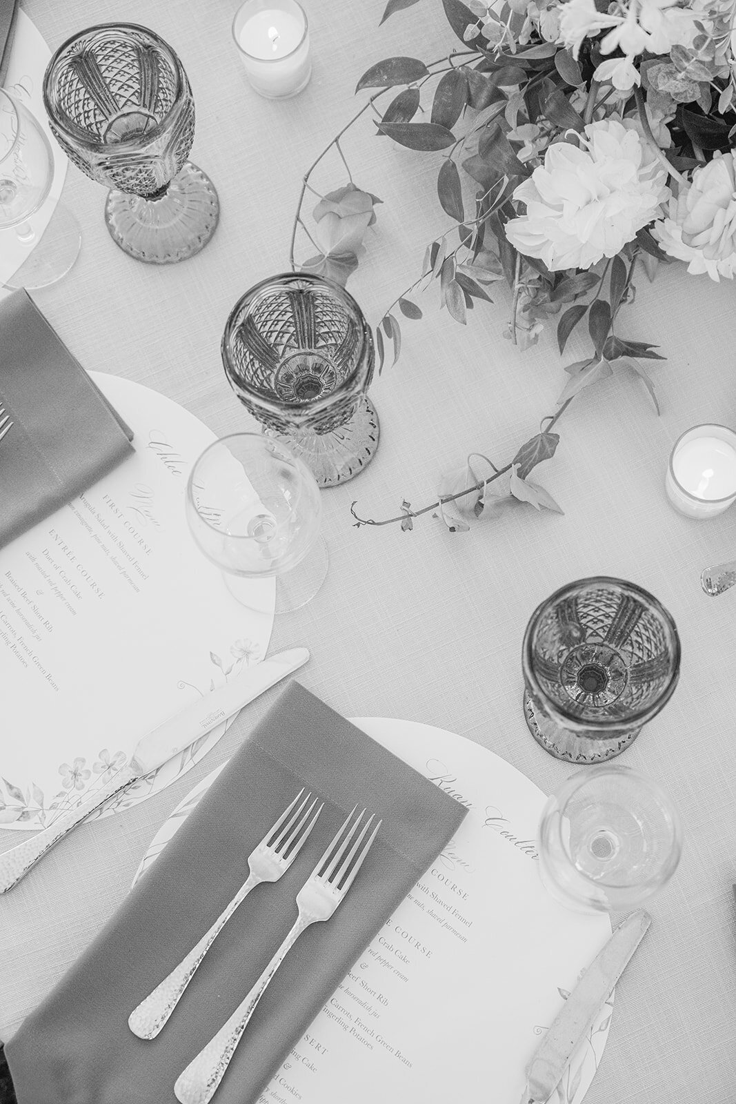 rachelpearlmanphotography_carlinivalis-2492