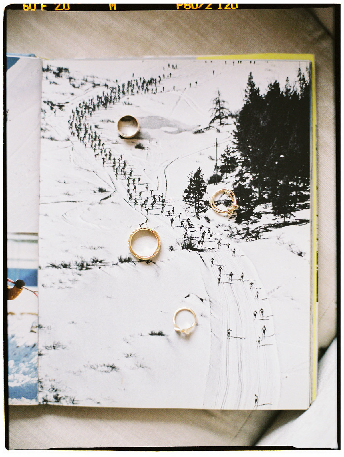 P65228ABam041803-R1-002-2_websize