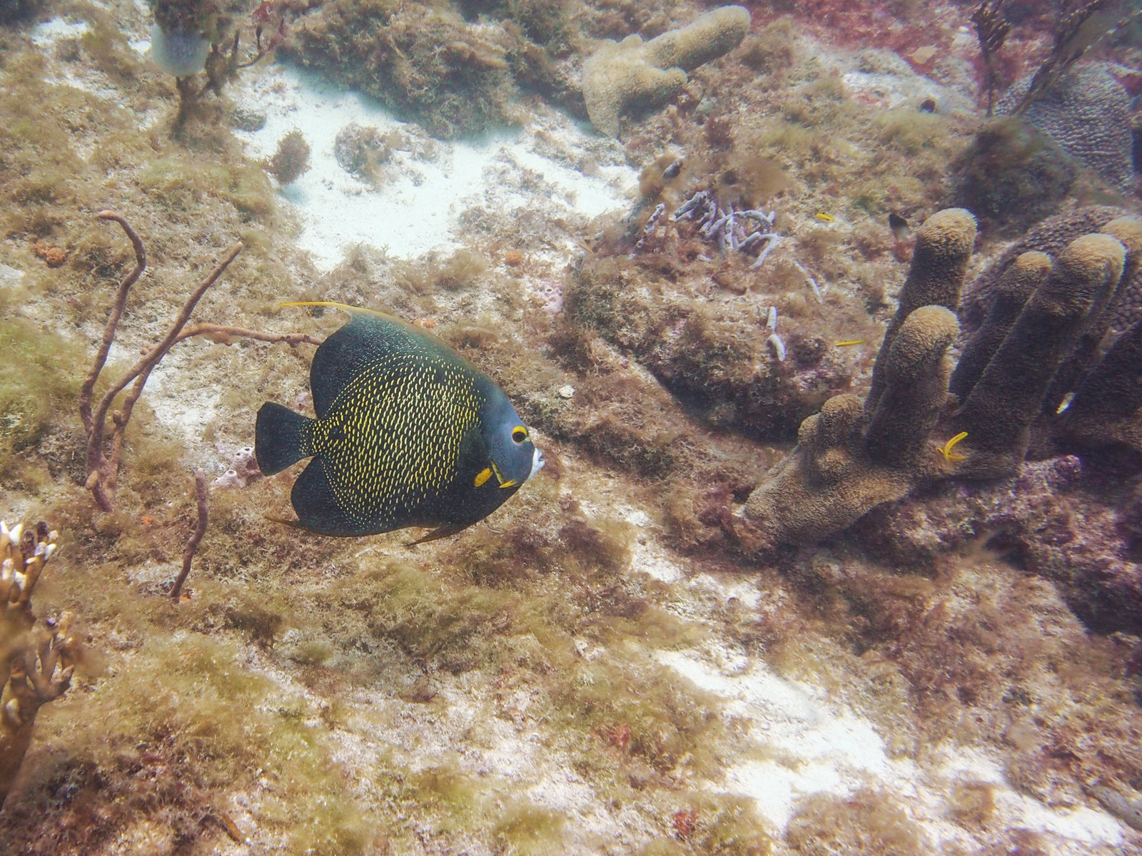 P7290204
