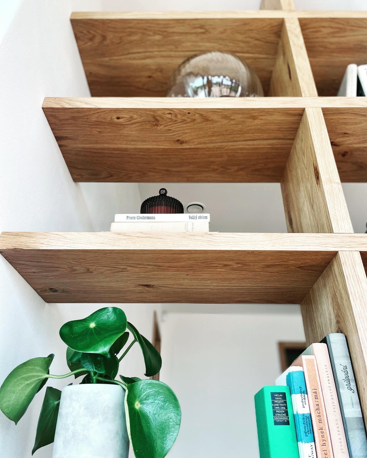 02AA95DC-EE54-497D-8D19-6E6960A86491