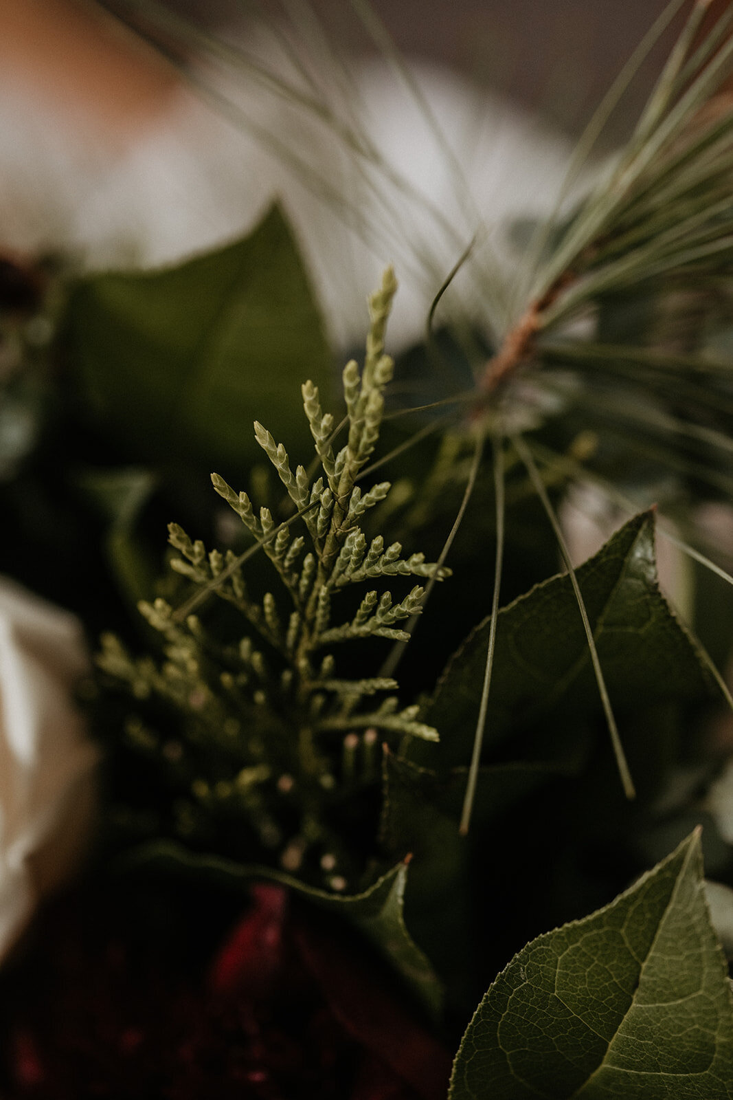 015_Amanda_Tommy_Minimony_12.19.20-19