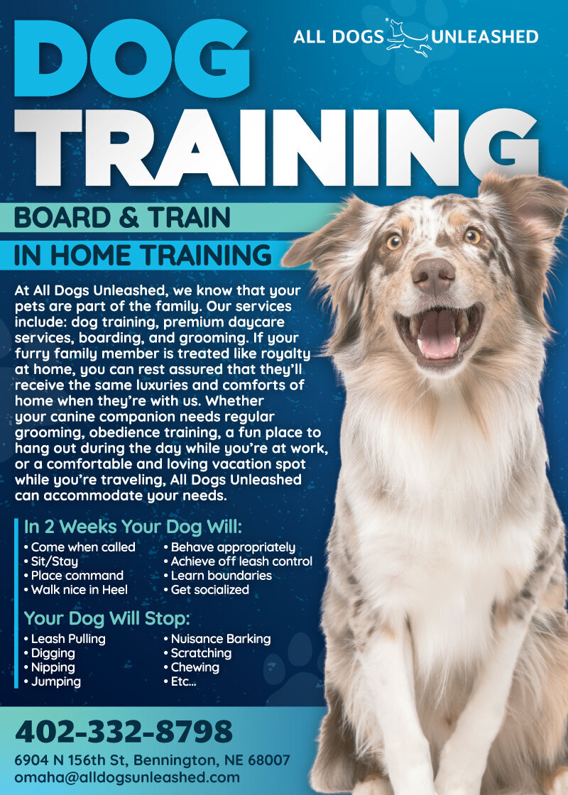 dog-training-flyer