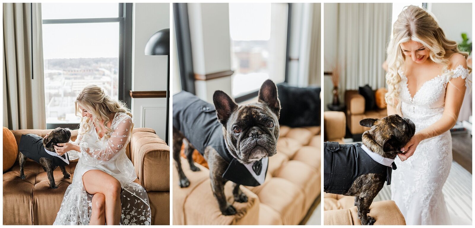 bride getting ready with her french bulldog in a tux.
