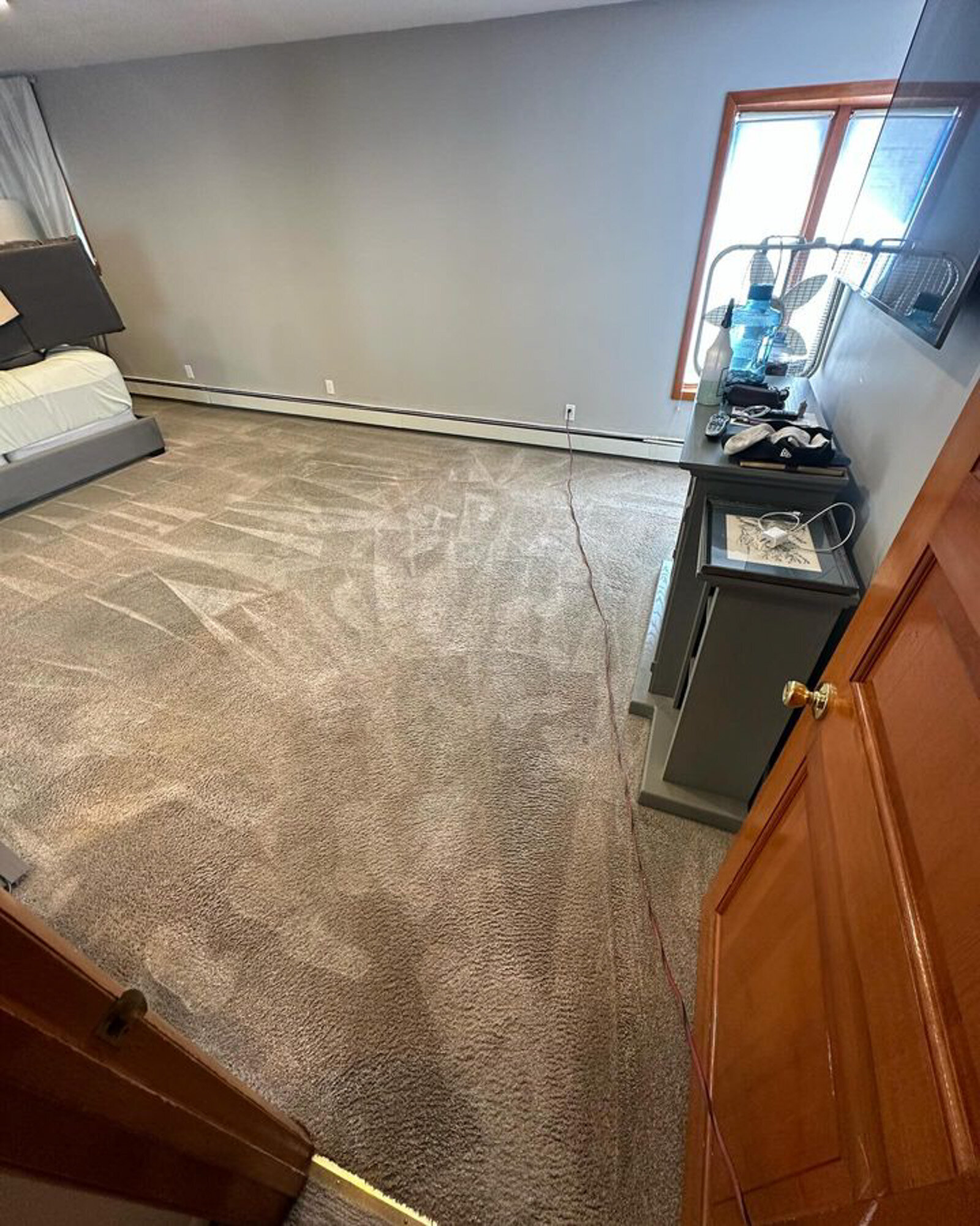 Carpet cleaning with detailed vacuum lines in a bedroom