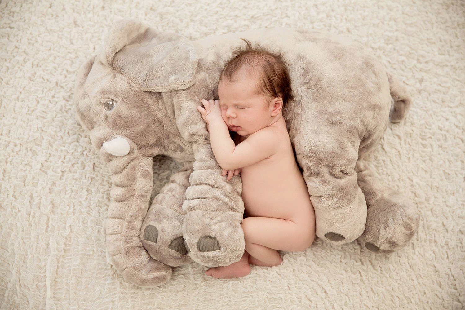san diego newborn photographer | newborn baby with a stuffed elephant