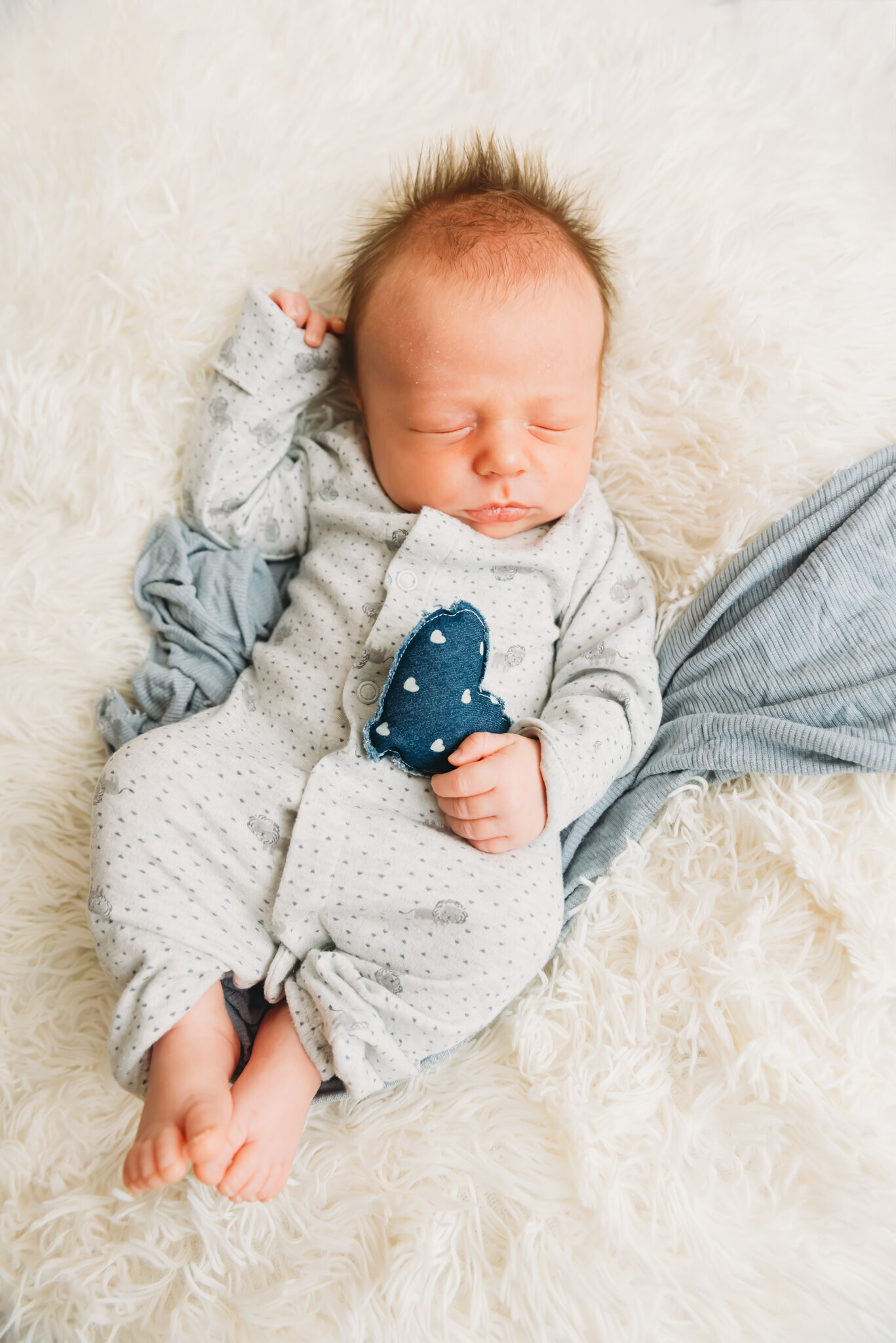 short-newborn-bismarck-studio-13