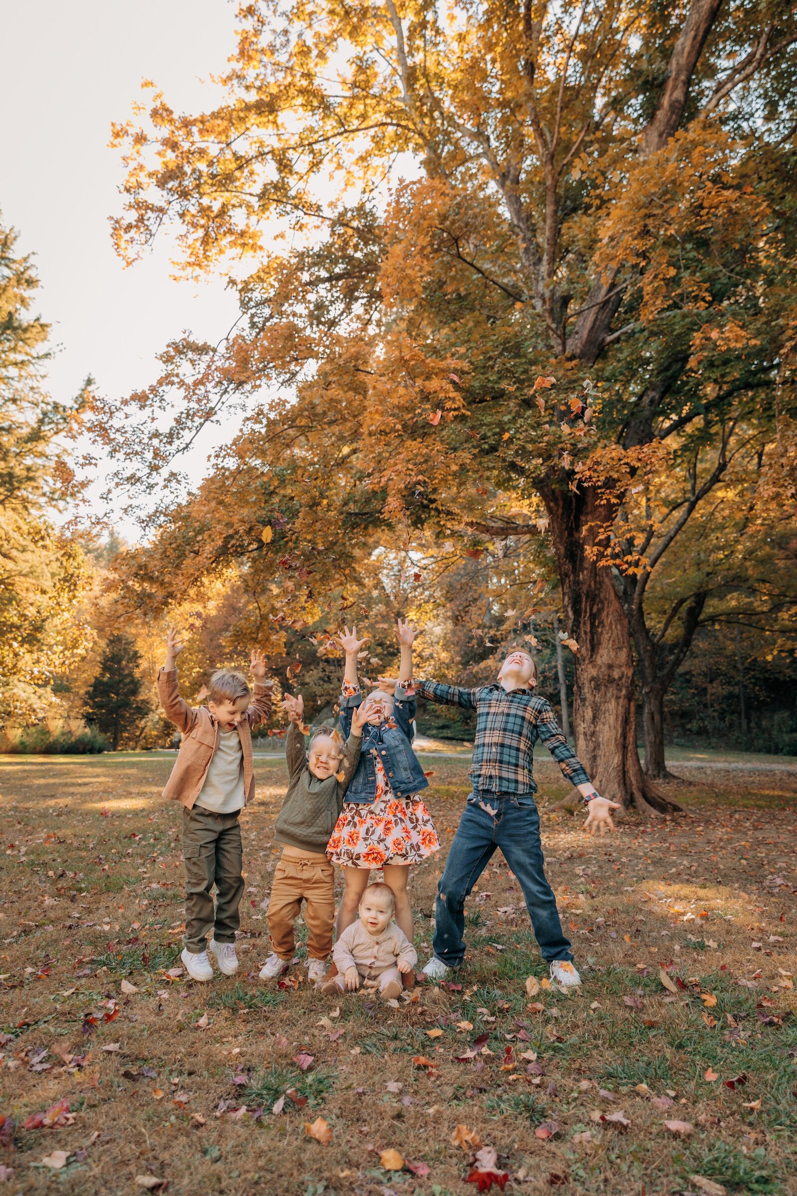fall family photos in Asheville, NC at the UNCA Botanical Gardens