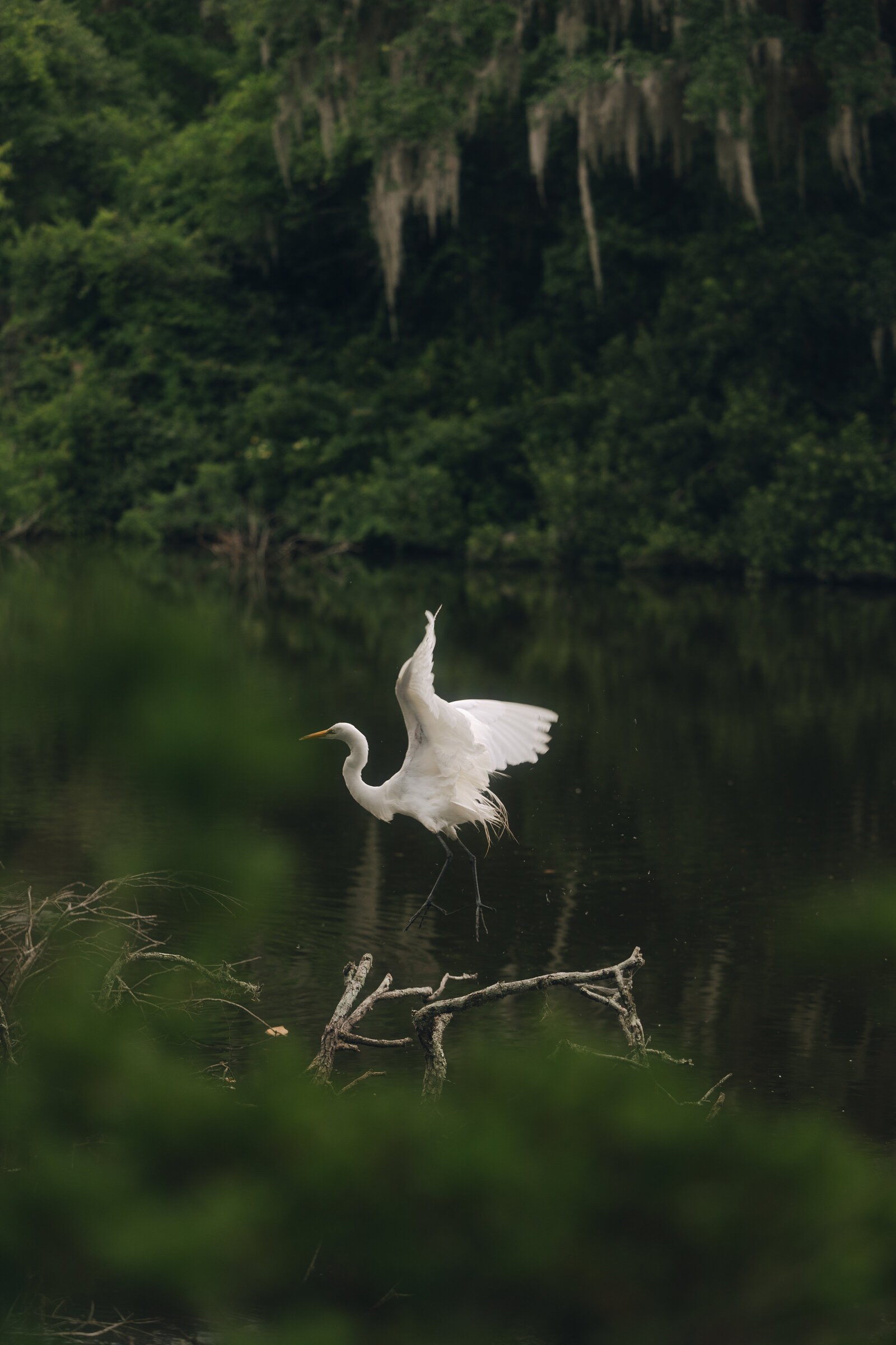 SarahKayPhotography-LWH-62
