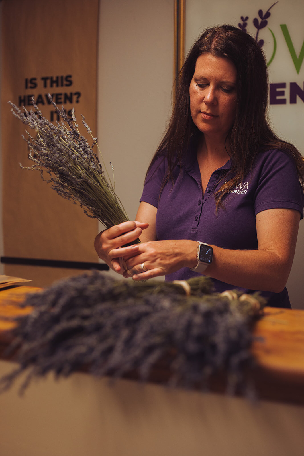 Iowa Lavender_F20A5179