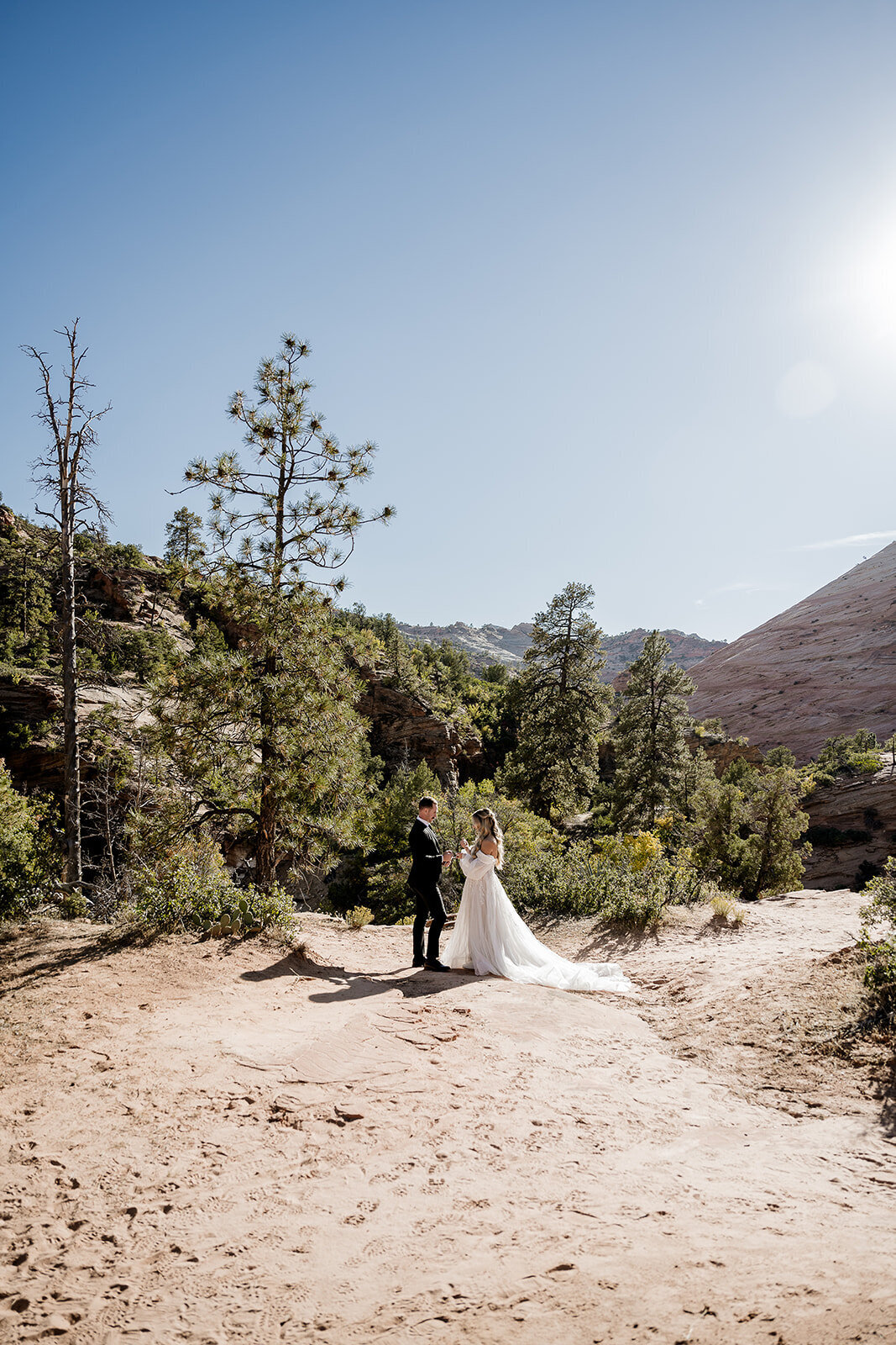 Zion-Elopement_Beccaphoto-336