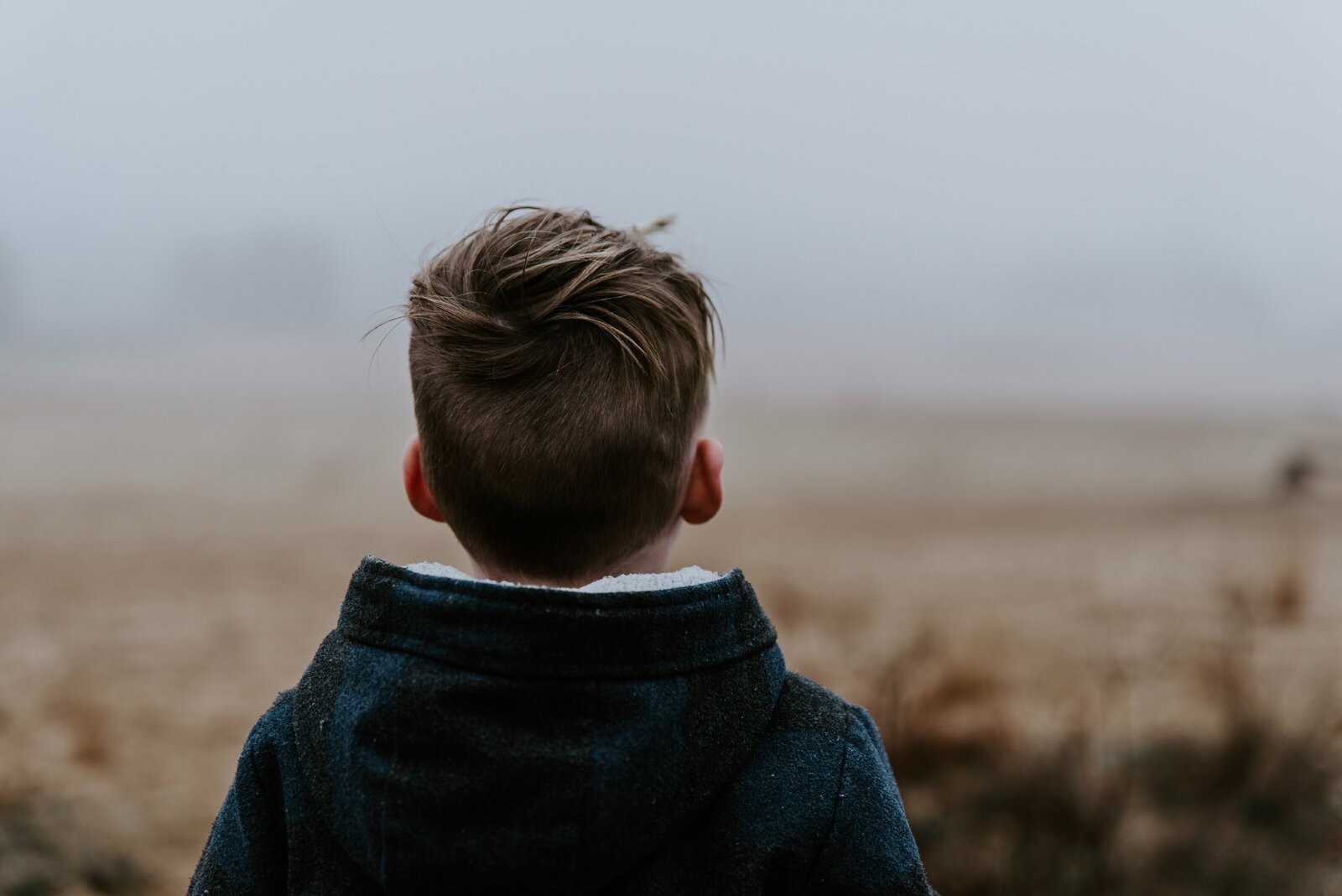 sander-weeteling-q6U1MWimVmA-unsplash