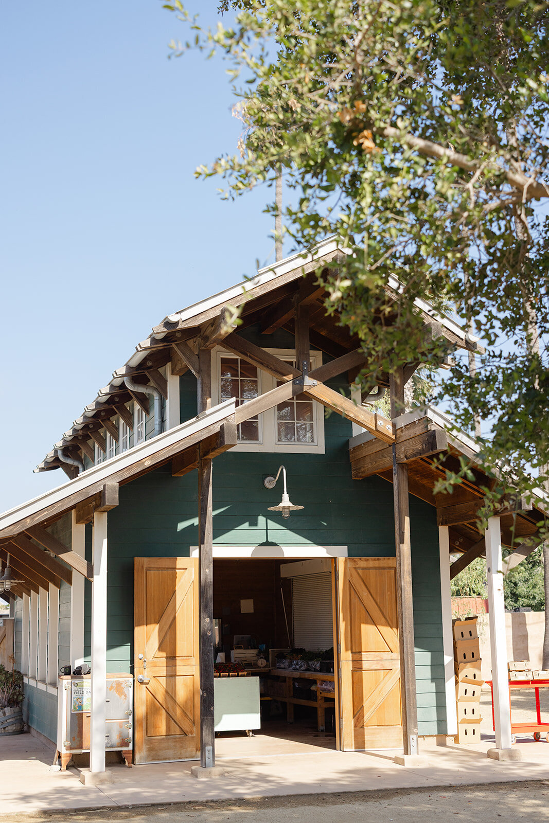 Brookeboroughphotography_californiaorganiccenter-19155