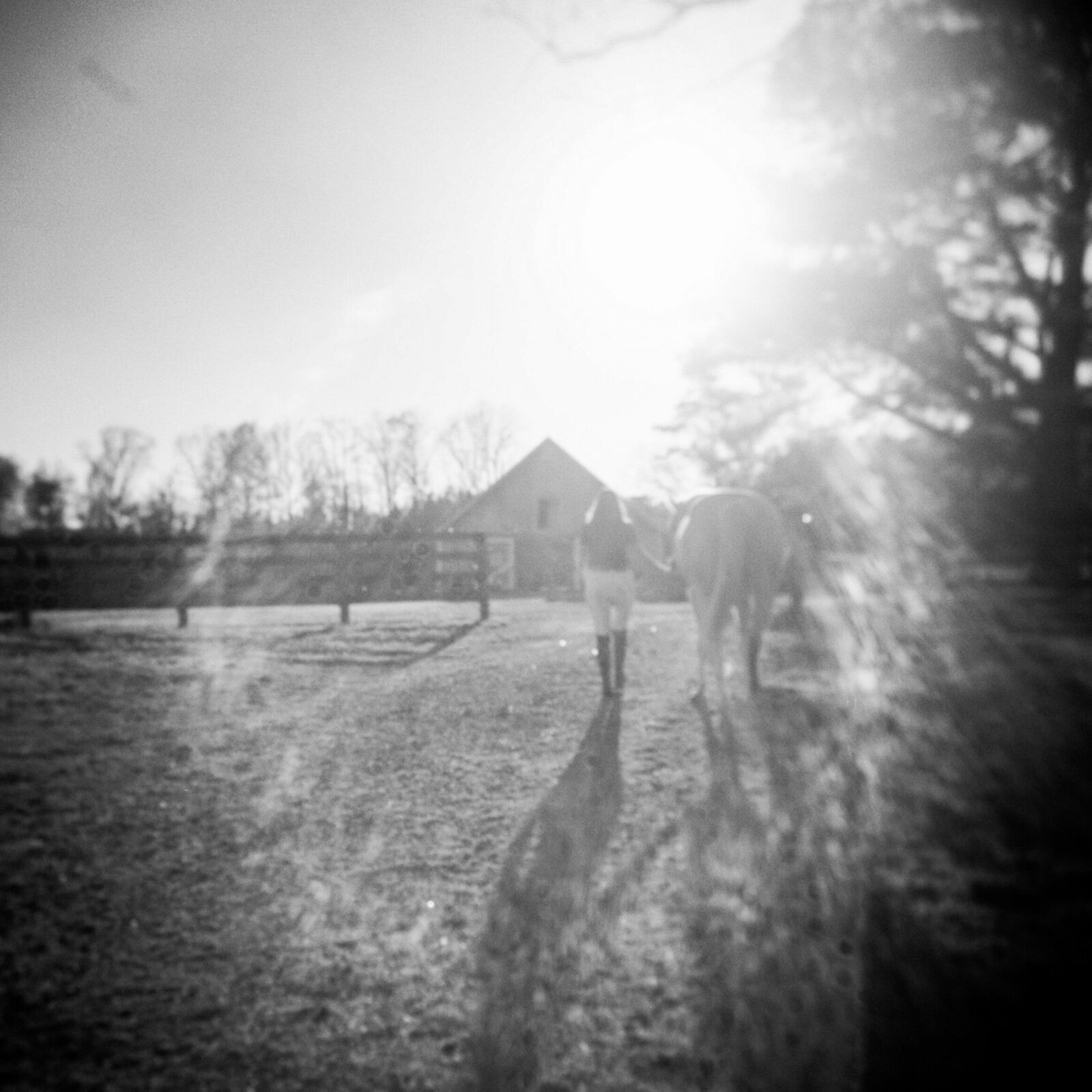 nc-equine-photographer-daniellejamesstudios-10