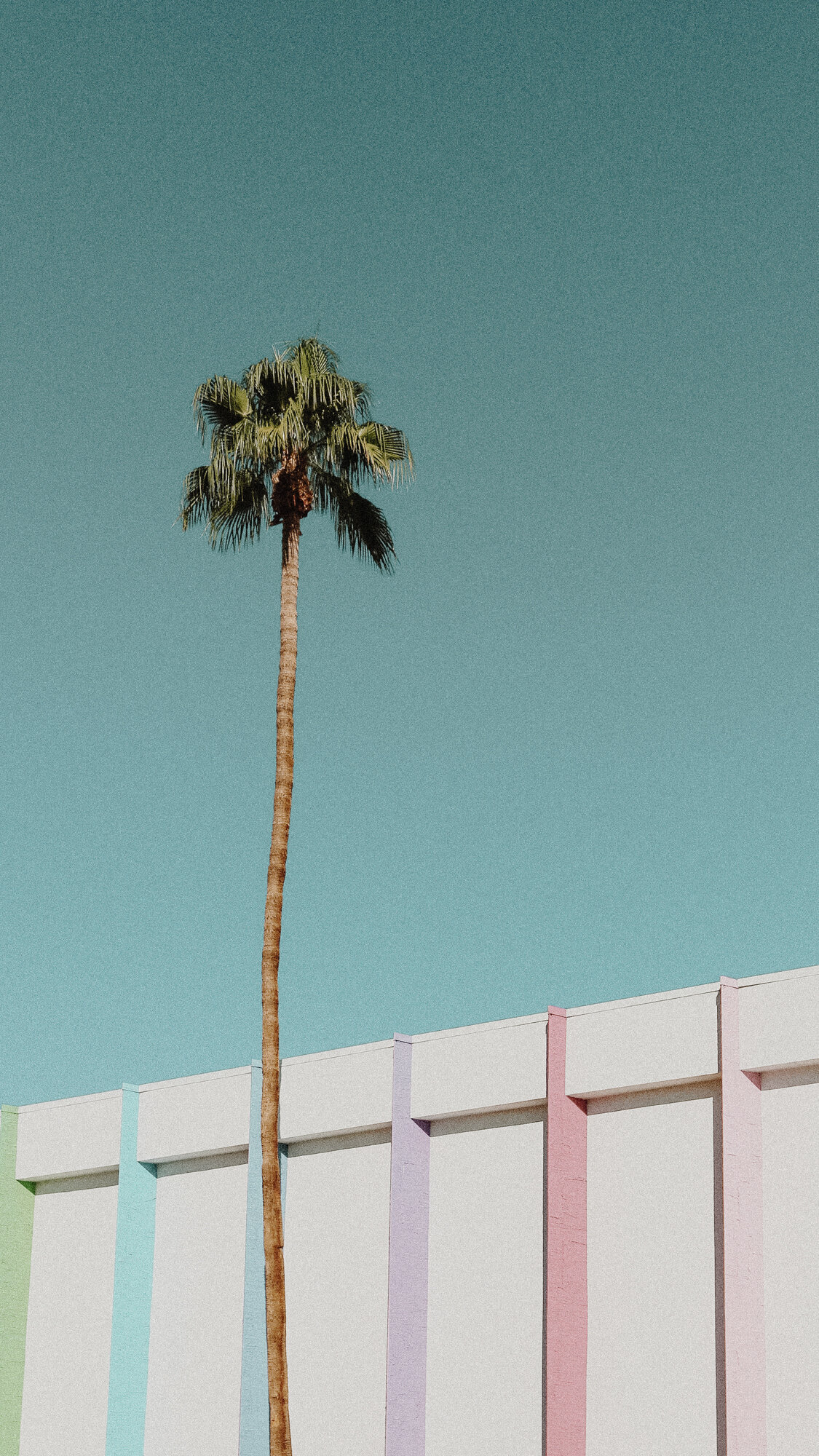 Dear Palm Springs-65