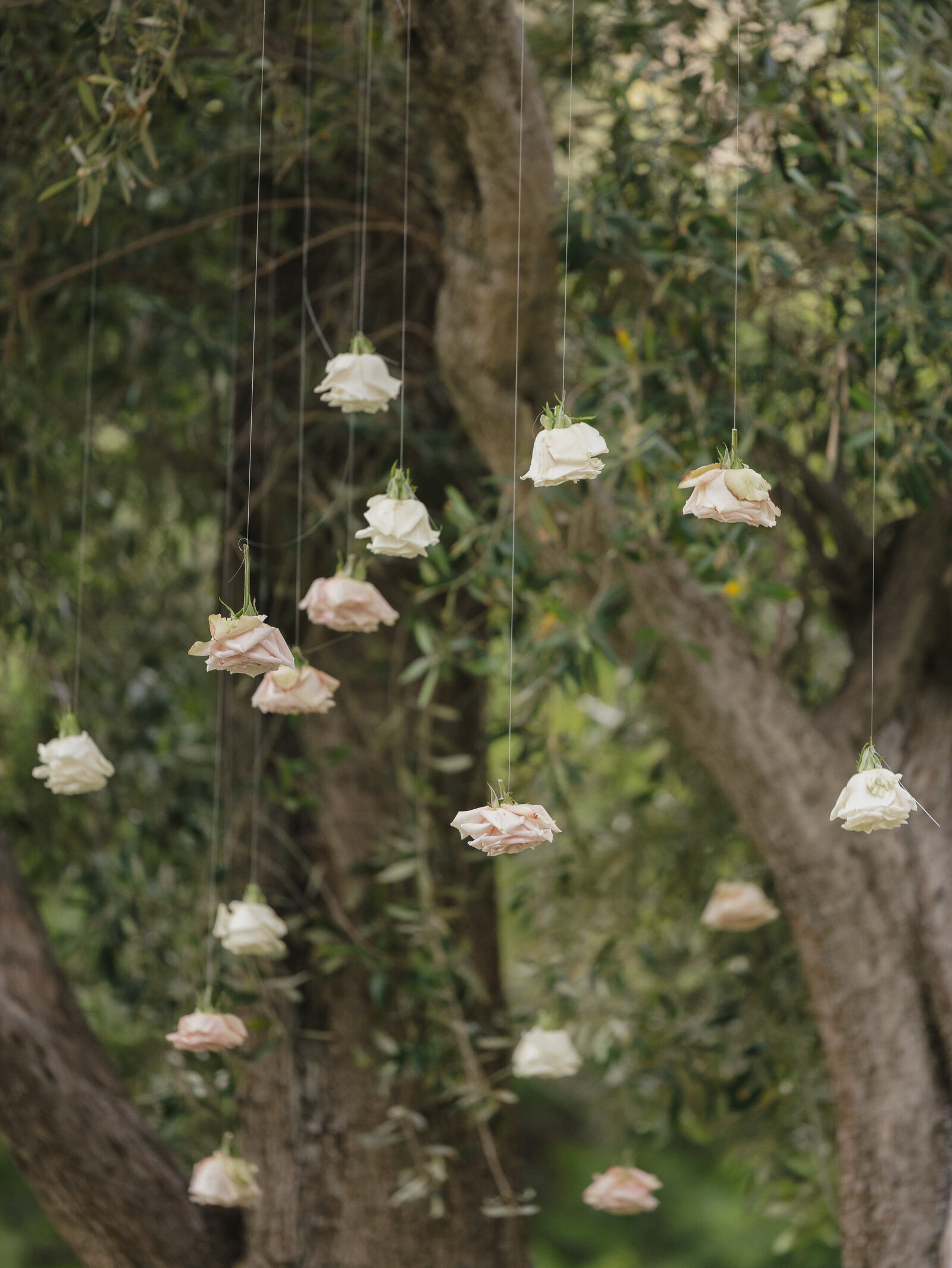 Teasers_OliviaandAlex_Hummingbird-Nest-Ranch_Taylor-Kinzie-Photography-197