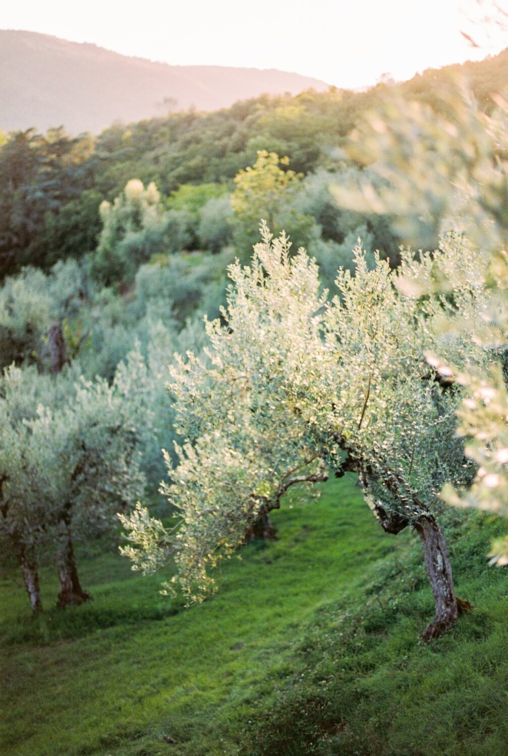 castello-pratelli-tuscany-destination-wedding-film-analog-stefano-degirmenci_0008
