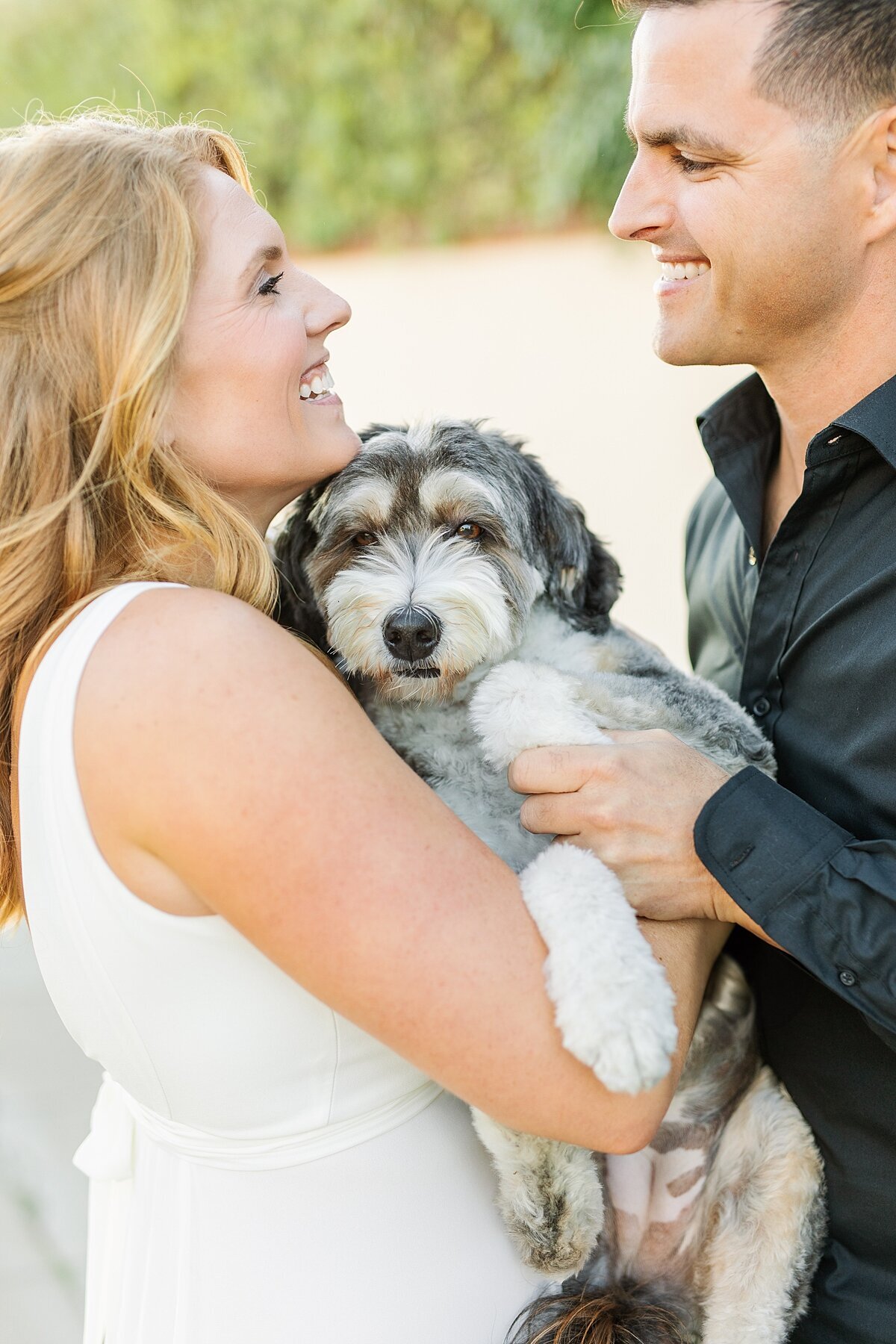 Engaged couple and their pup taking engagement photos in the neighborhoods of Coronado Island in San Diego.
