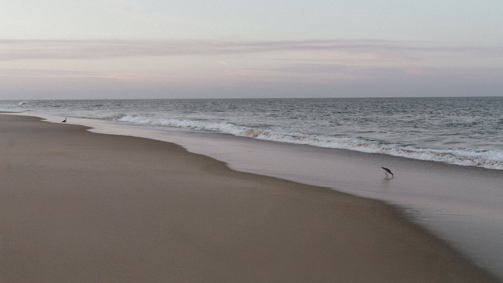 Outerbanksmicrowedding-01