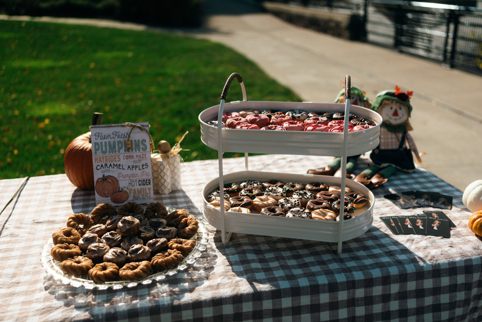 Fall Session-17