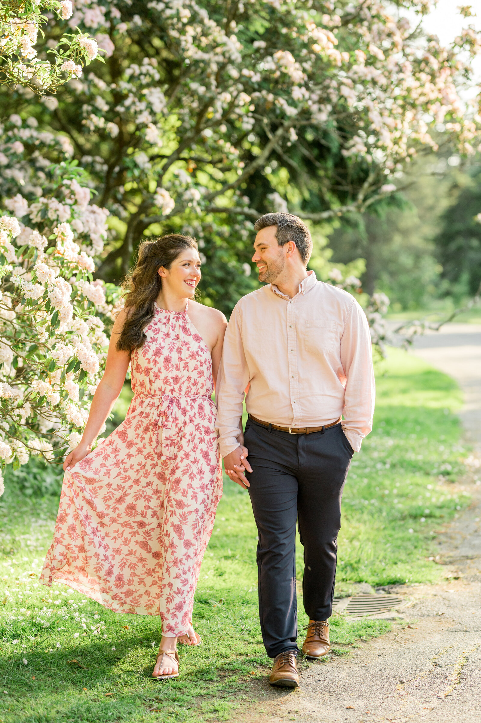 Arnold Arboretum, Boston