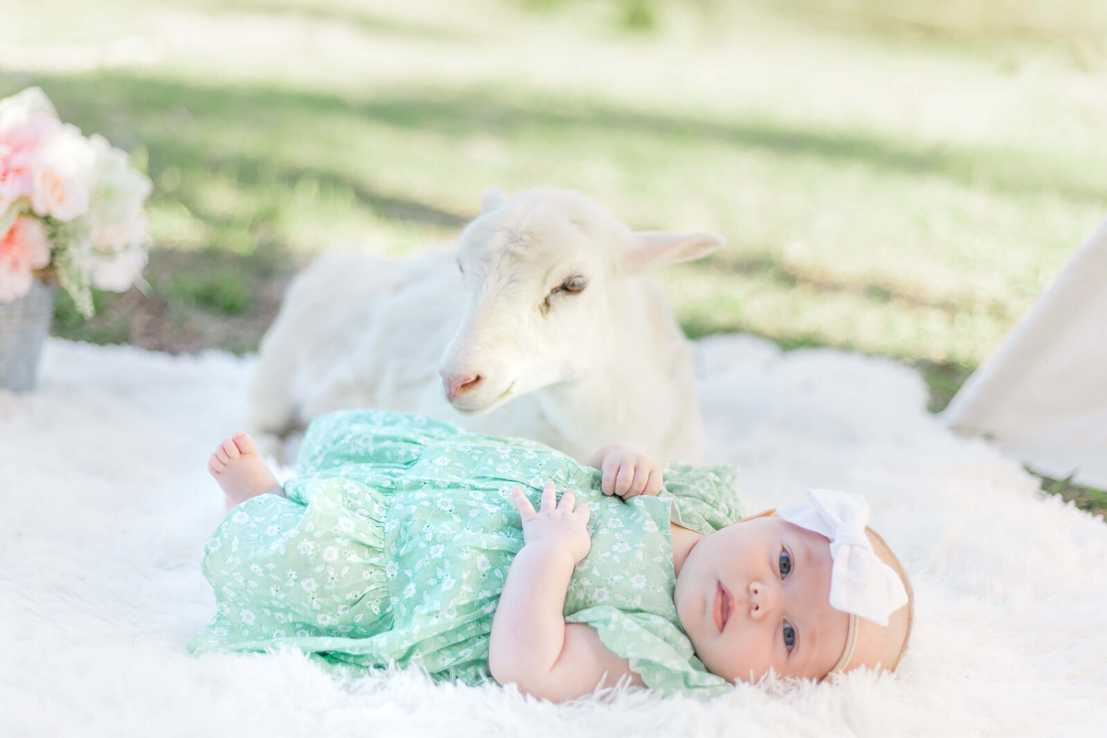 Mississippi-Baby-Photographer-30
