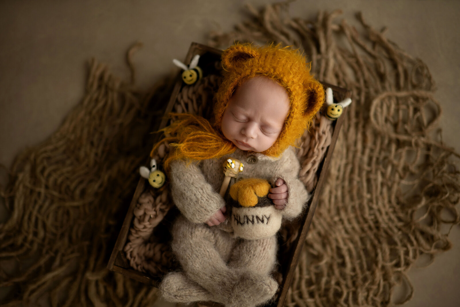 winnie the pooh newborn photoshoot