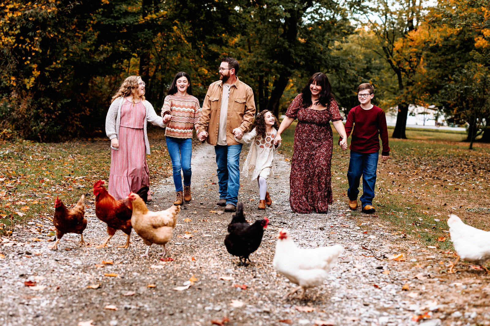 A family of six walk together holding hands on a gravel path laughing and  smiling.  A flock of chickens  foraging in the foreground