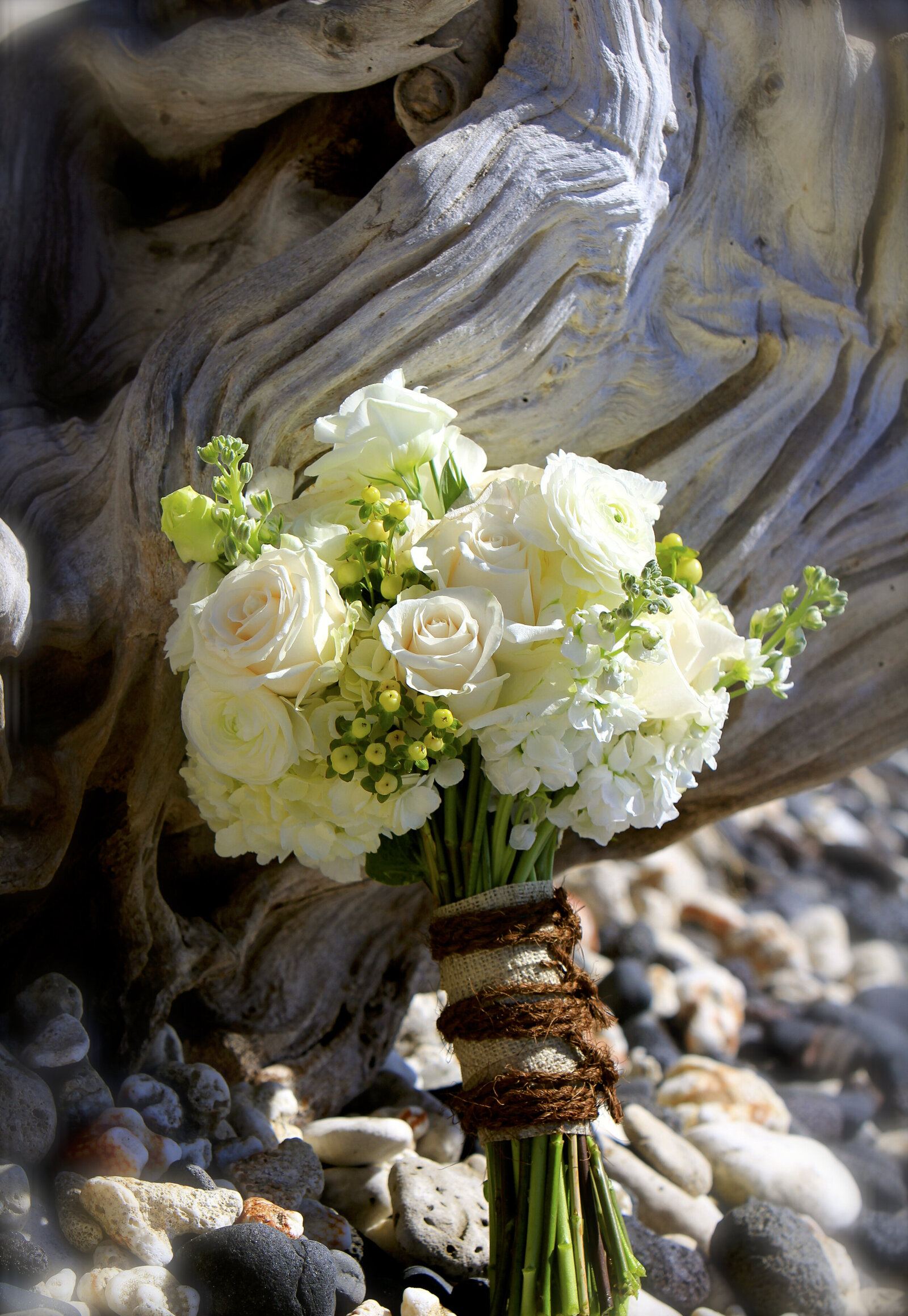 Caroline Morey Wedding Photographer Maui Destination Wedding Olowalu Plantation Wedding110413_0353456 x 5011